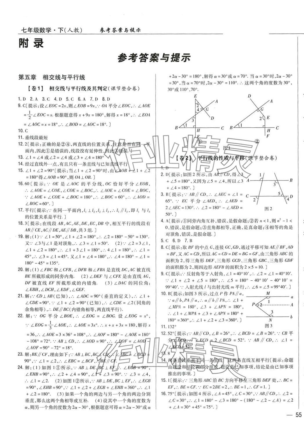 2024年完全考卷七年级数学下册人教版 参考答案第1页