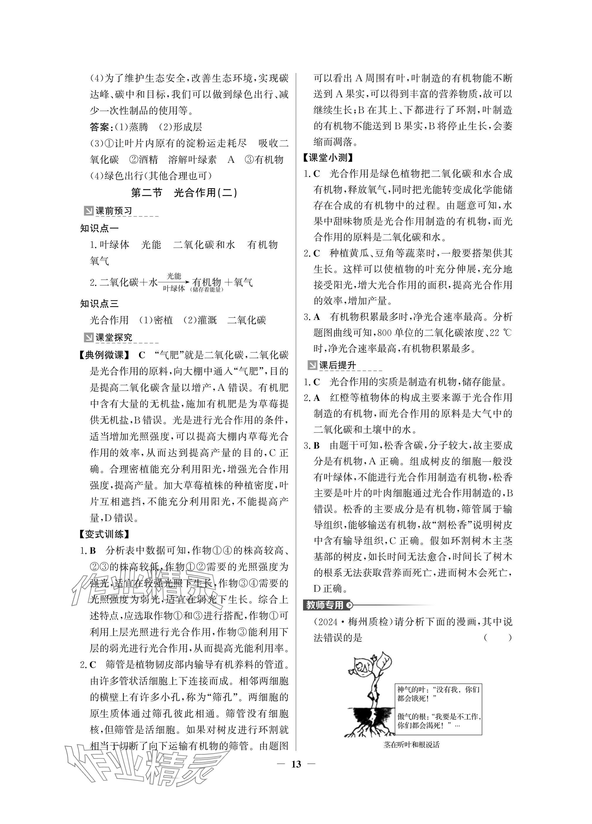 2025年南方新課堂金牌學(xué)案七年級生物下冊人教版深圳專版 參考答案第13頁