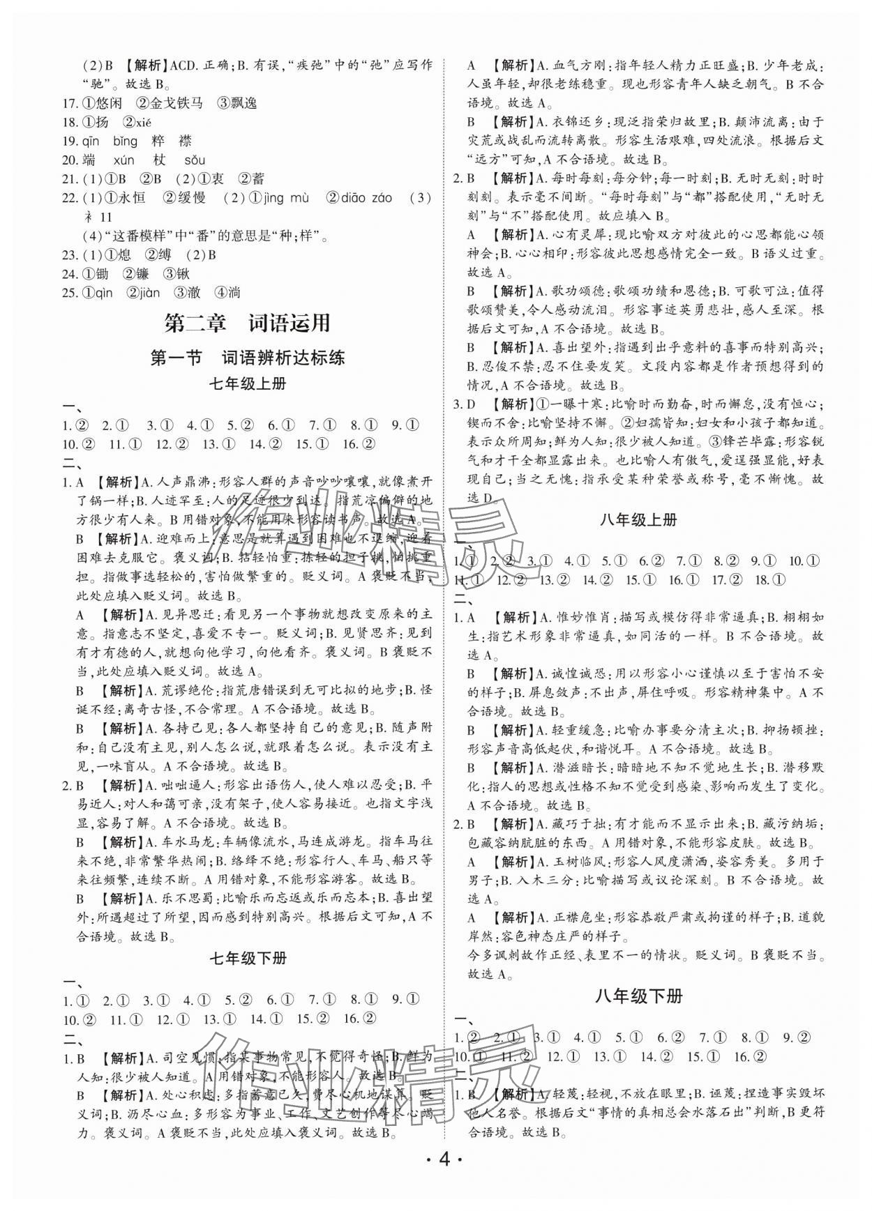 2025年语文总复习深圳专版 第4页