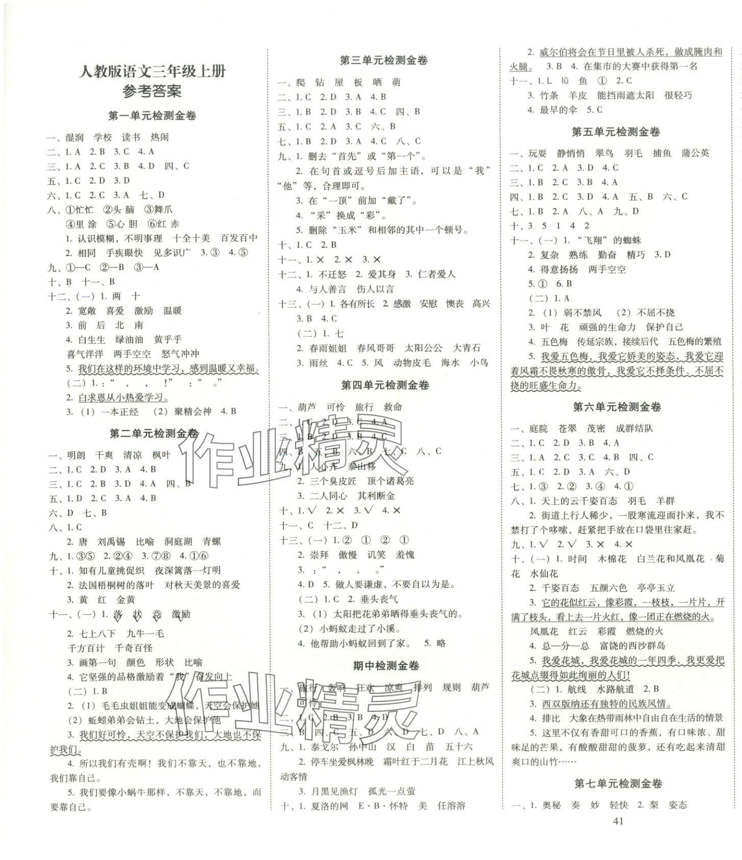 2025年云南师大附小一线名师金牌试卷三年级语文上册人教版 第1页