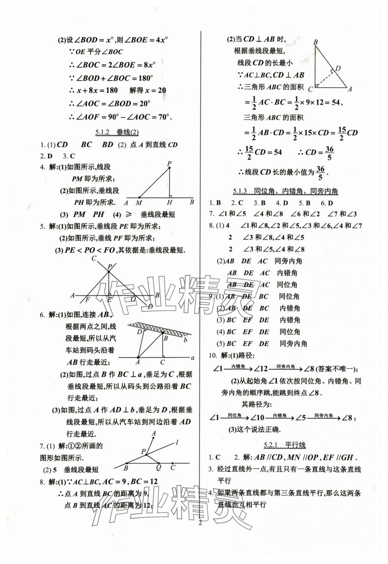 2024年活页练习七年级数学下册人教版 参考答案第2页