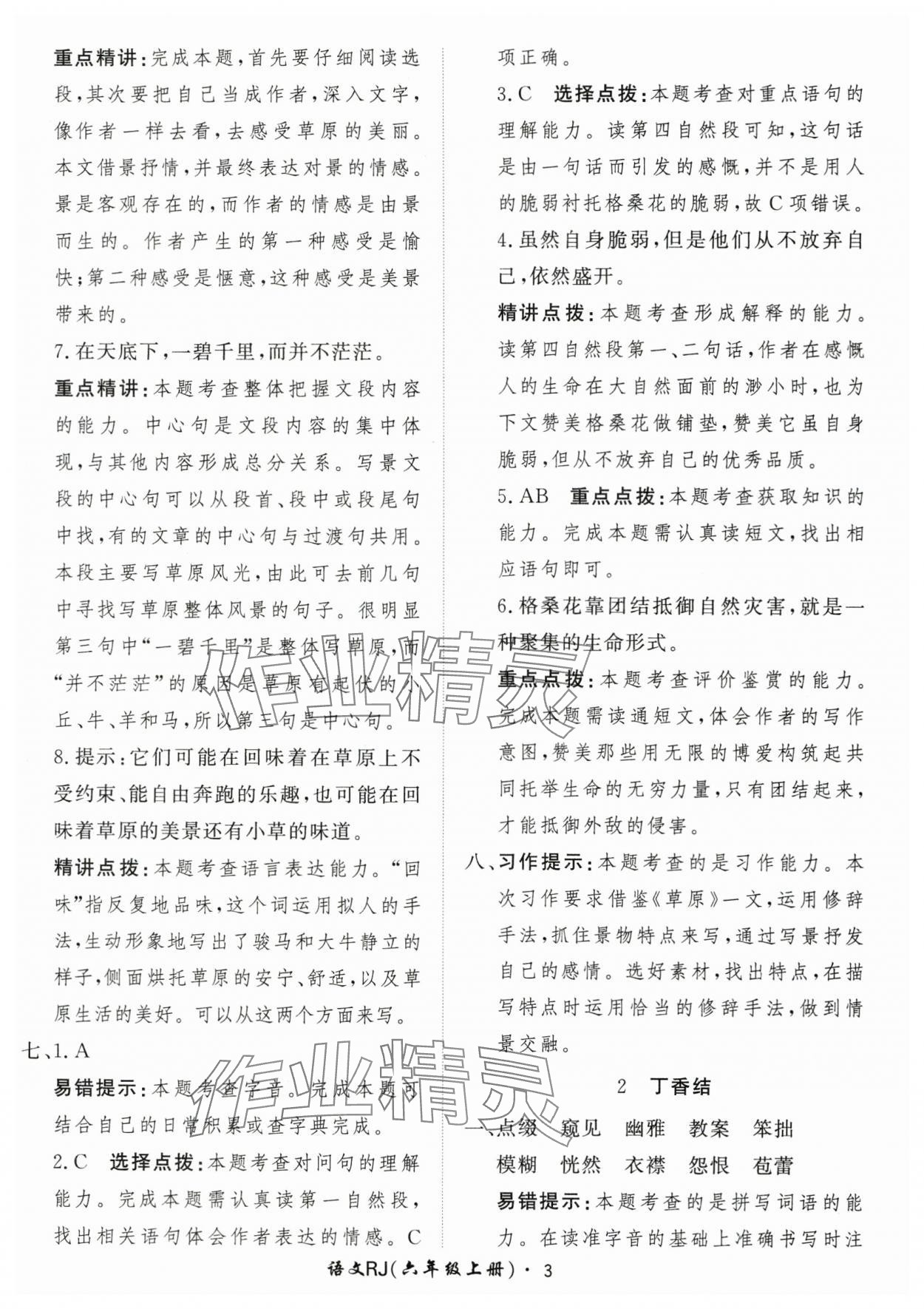 2025年黃岡360定制課時(shí)六年級(jí)語文上冊(cè)人教版 第3頁