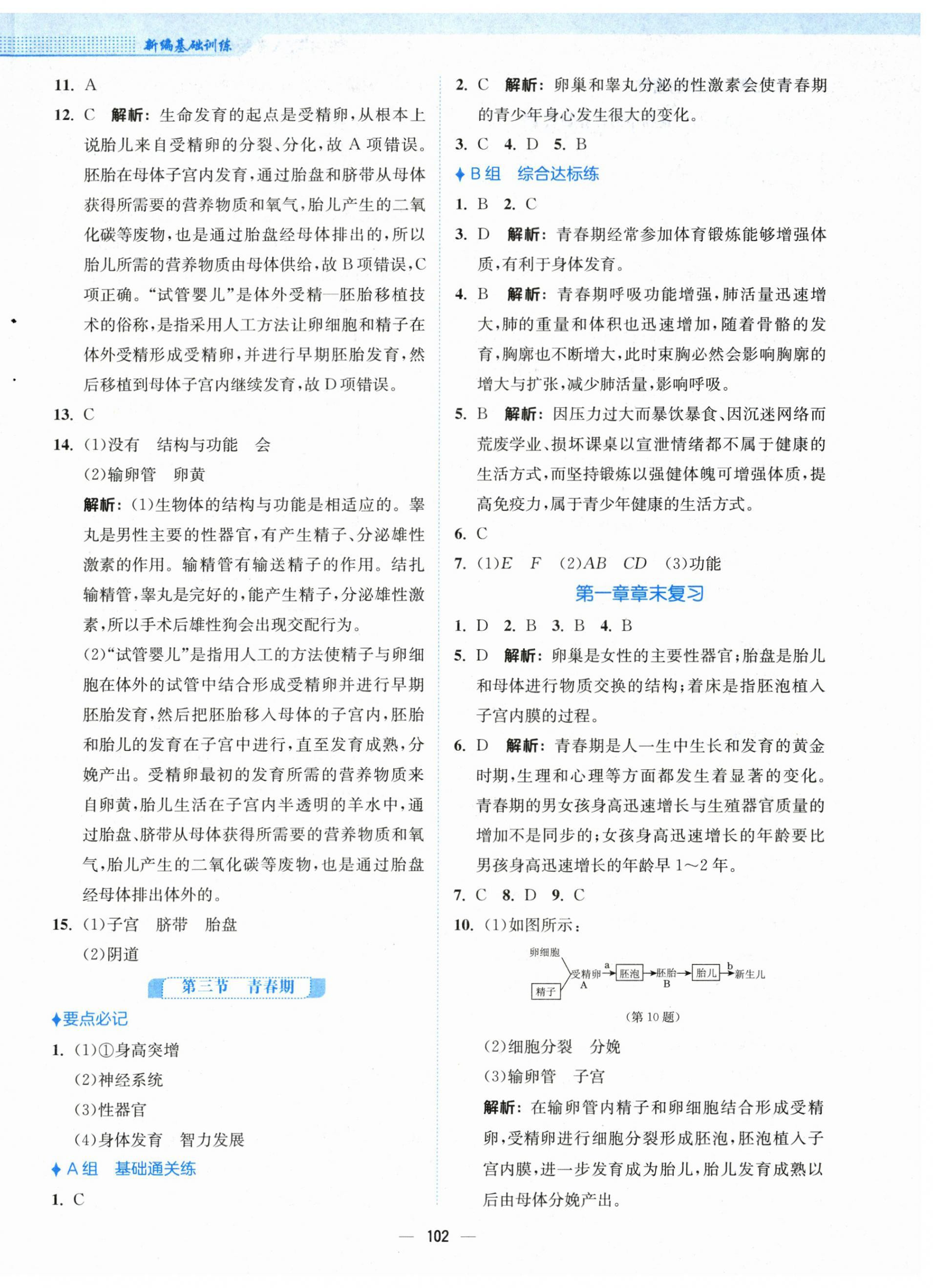 2024年新編基礎(chǔ)訓(xùn)練七年級生物下冊人教版 第2頁