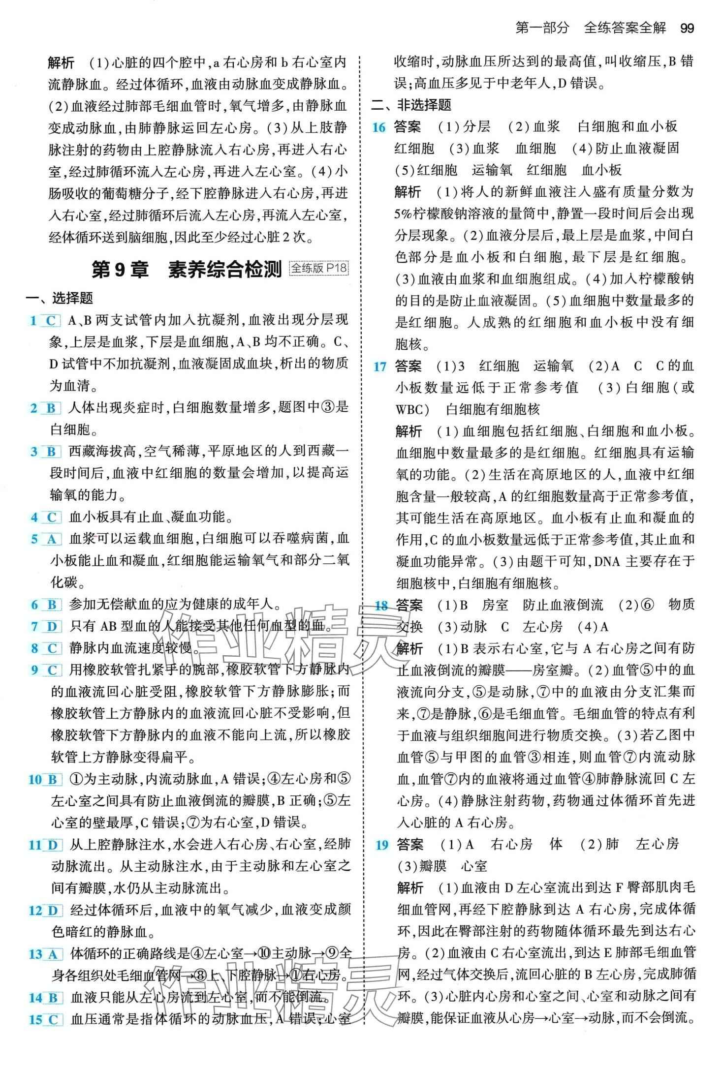 2024年5年中考3年模擬七年級(jí)生物下冊(cè)北師大版 第5頁(yè)