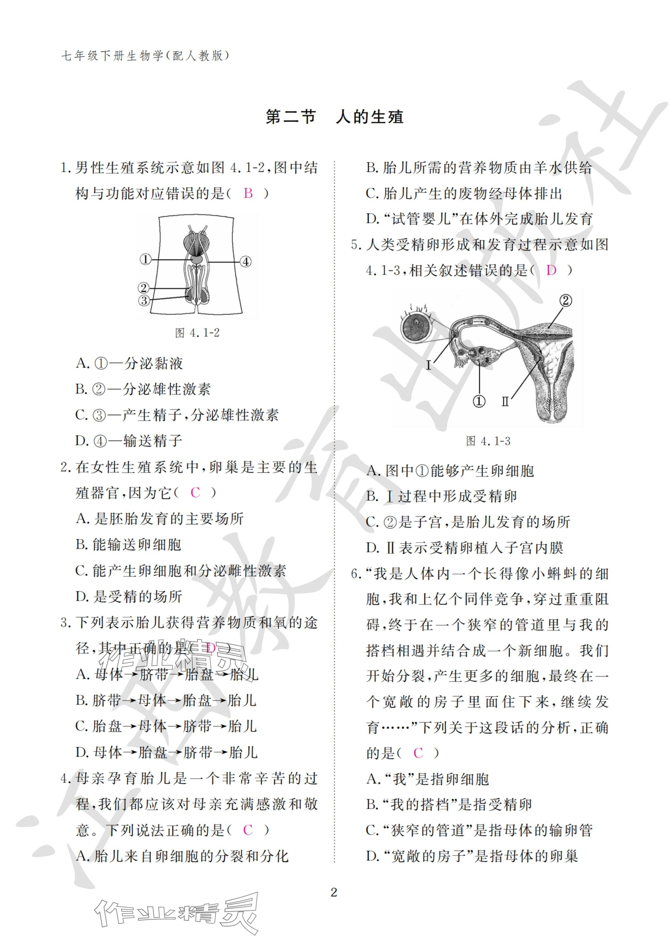 2024年作業(yè)本江西教育出版社七年級(jí)生物下冊(cè)人教版 參考答案第2頁(yè)