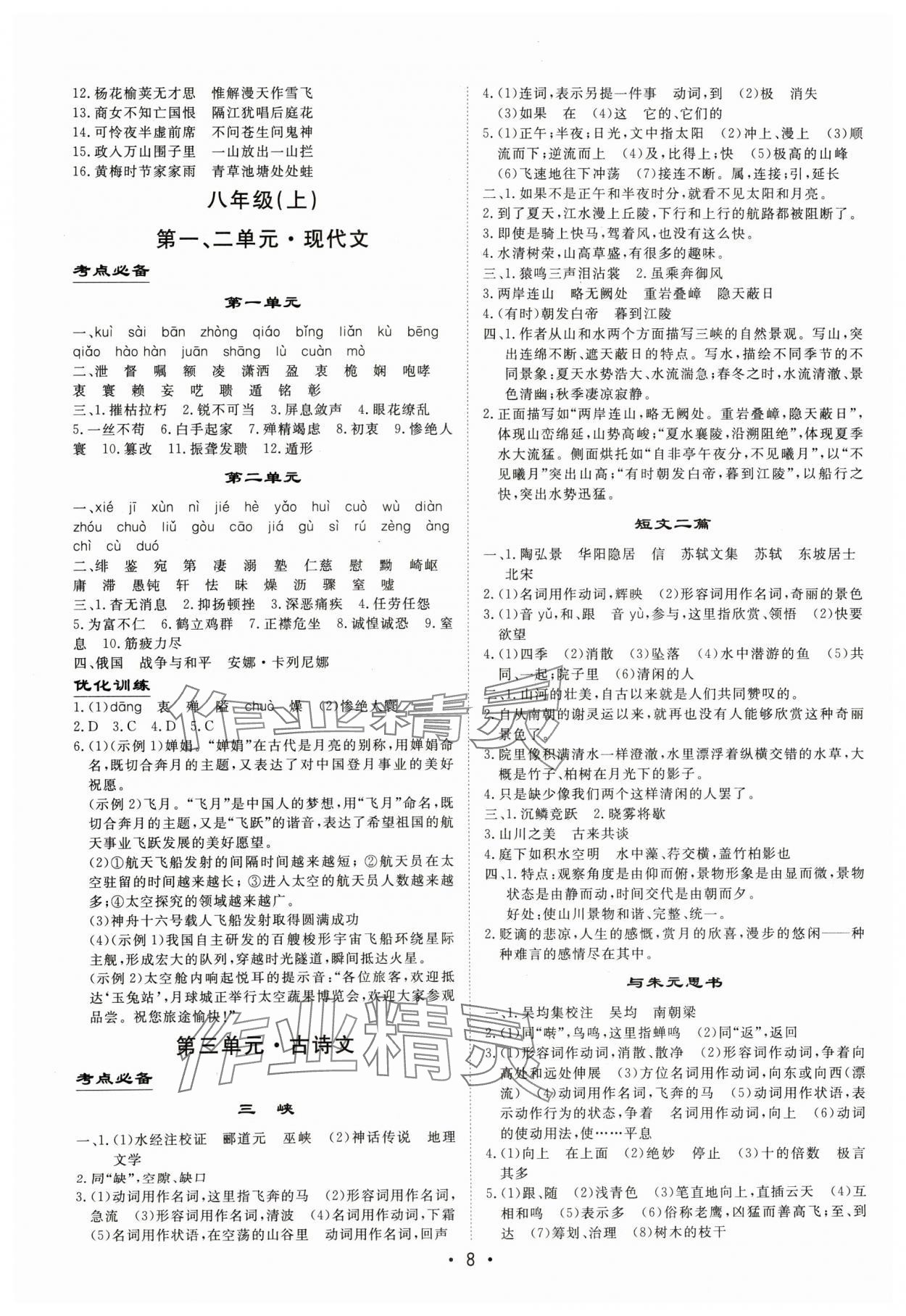 2024年大中考總復(fù)習(xí)語文內(nèi)蒙古專版 參考答案第8頁