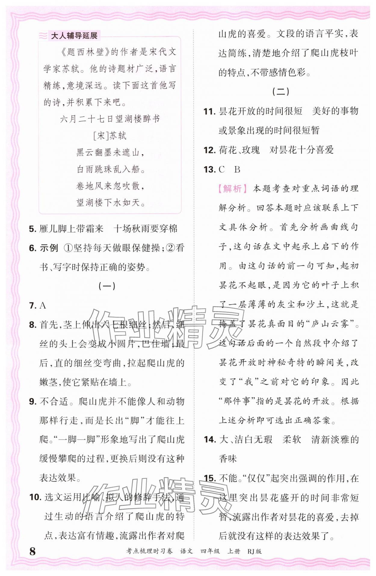 2024年王朝霞考点梳理时习卷四年级语文上册人教版 第8页