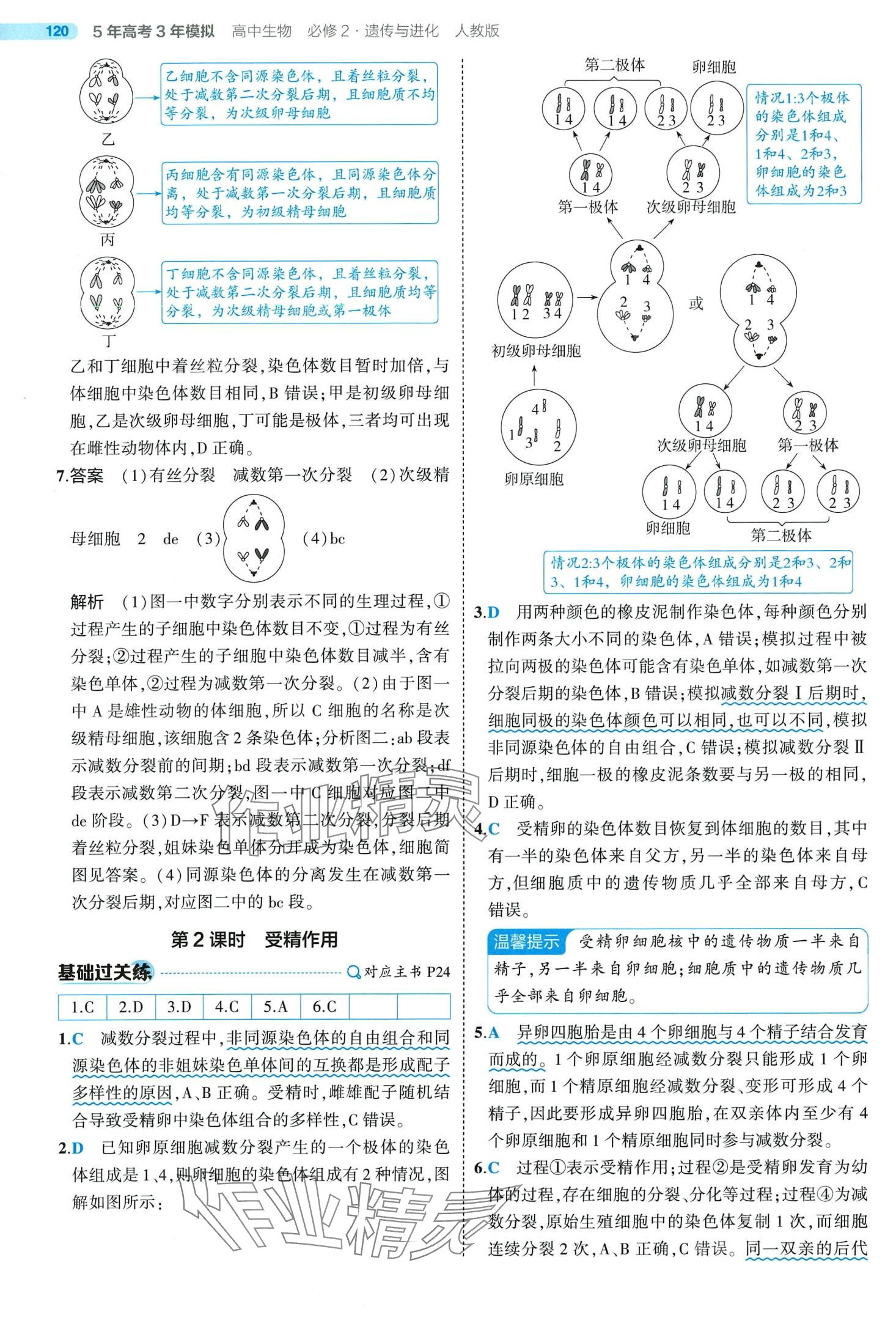 2024年5年高考3年模擬高中生物必修2人教版 第20頁