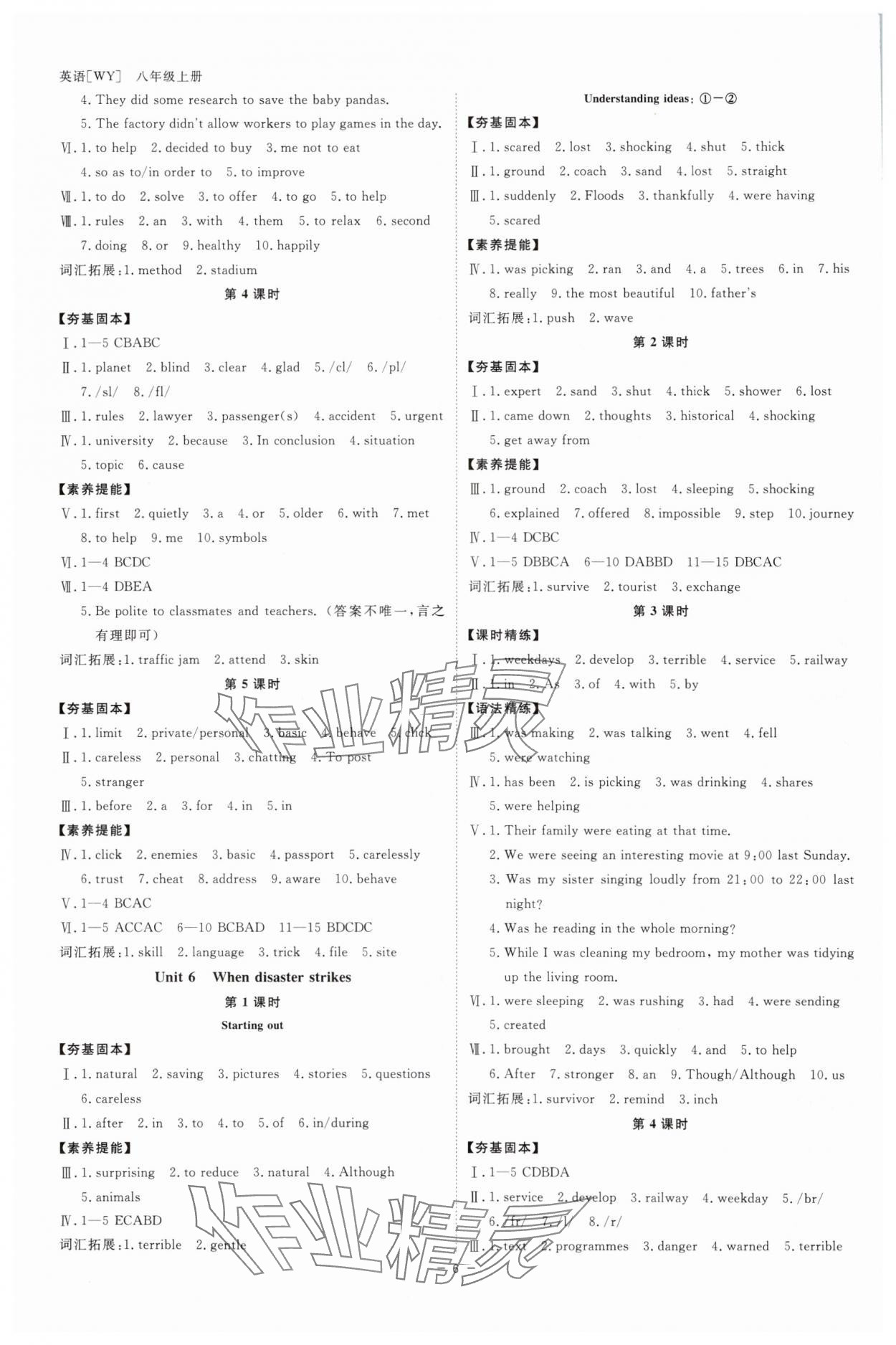 2025年全效學(xué)習(xí)八年級英語上冊外研版 參考答案第5頁