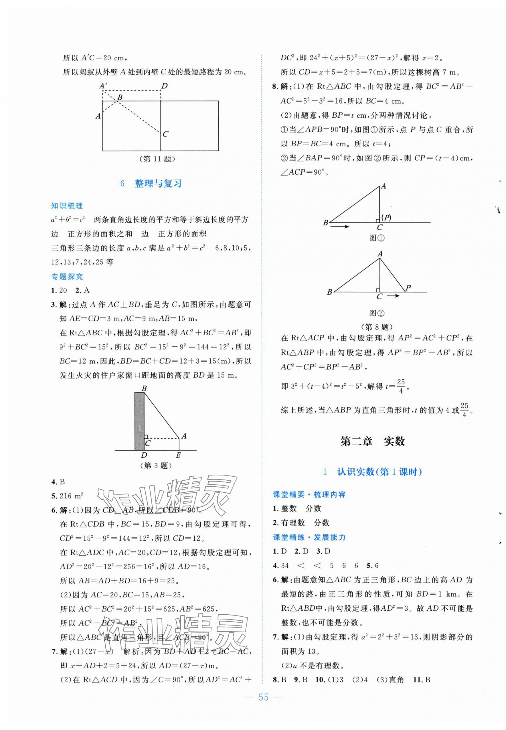 2025年课堂精练八年级数学上册北师大版 第3页