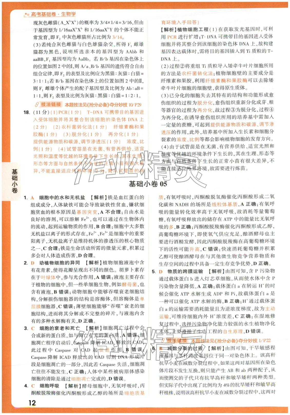 2026年腾远高考基础卷生物 第12页