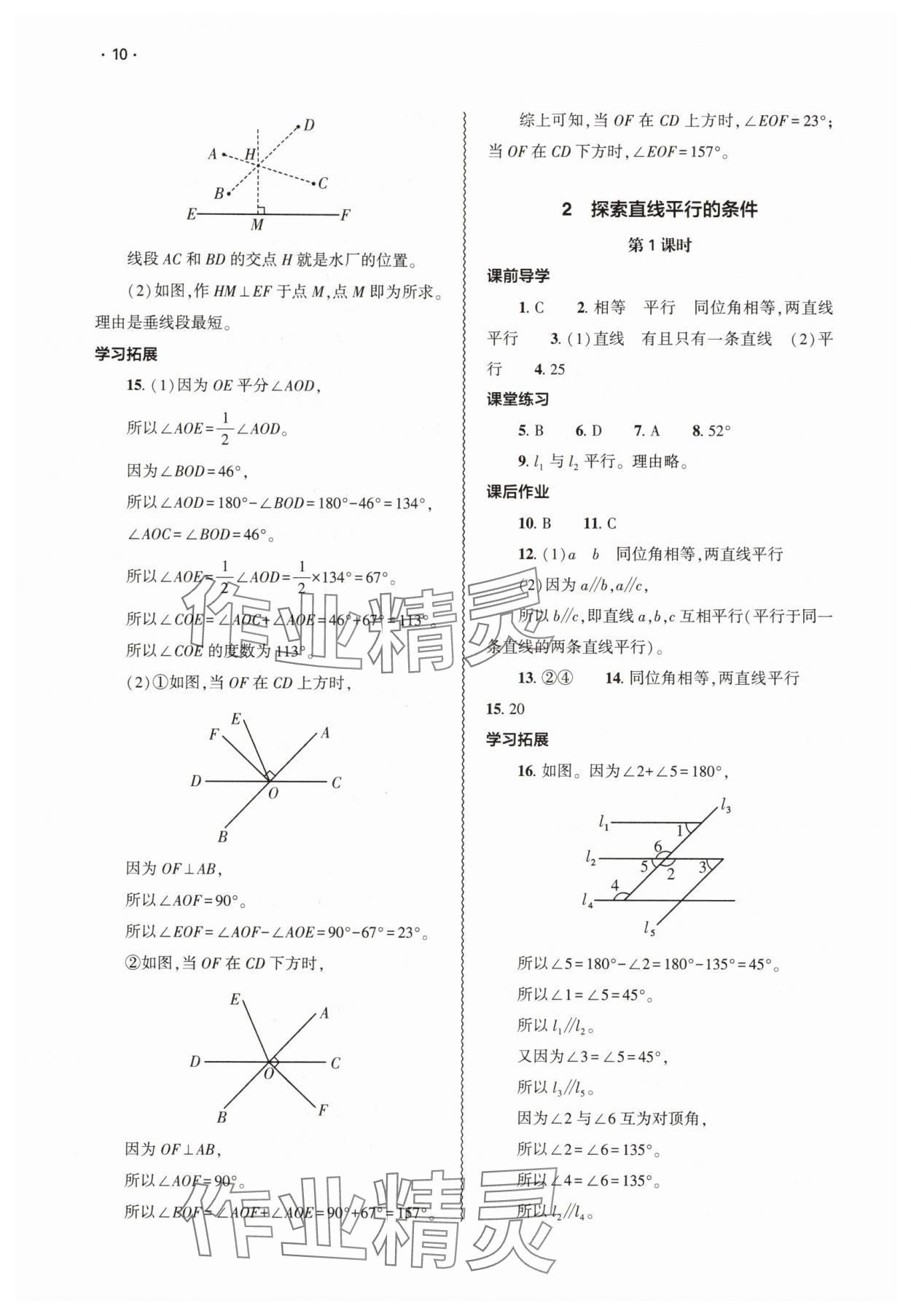 2025年基礎(chǔ)訓(xùn)練大象出版社七年級(jí)數(shù)學(xué)下冊(cè)北師大版 第10頁