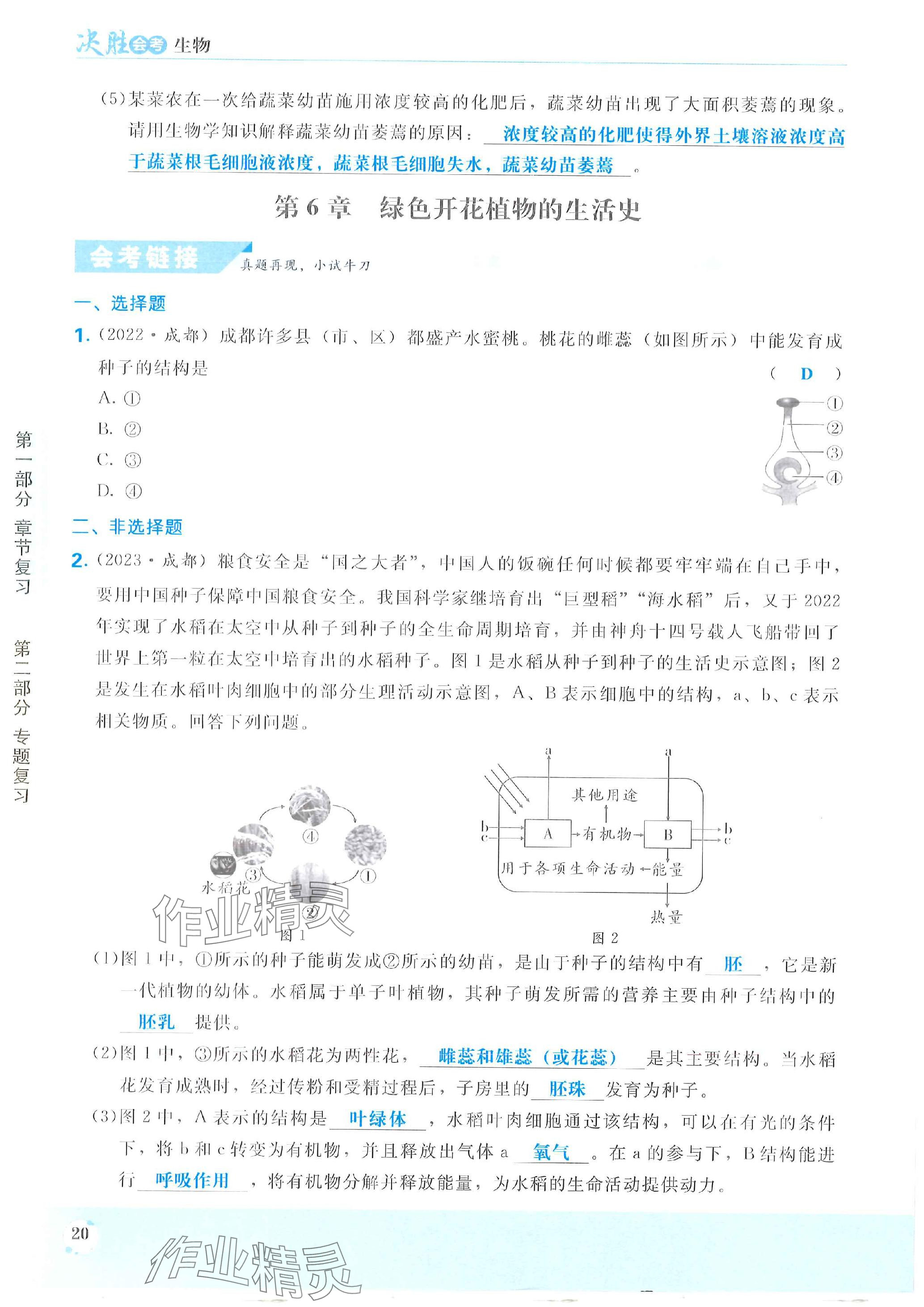 2024年決勝會(huì)考生物北師 參考答案第20頁(yè)