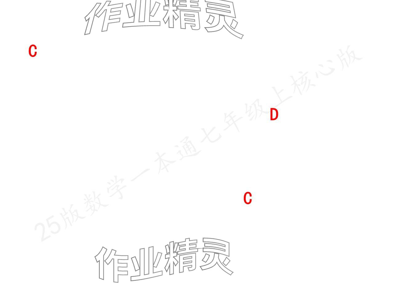 2024年一本通武漢出版社七年級數(shù)學(xué)上冊北師大版核心板 參考答案第22頁