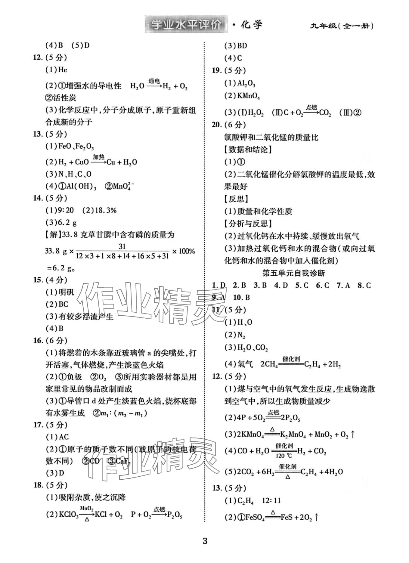 2024年學(xué)業(yè)水平評(píng)價(jià)九年級(jí)化學(xué)全一冊人教版 第3頁