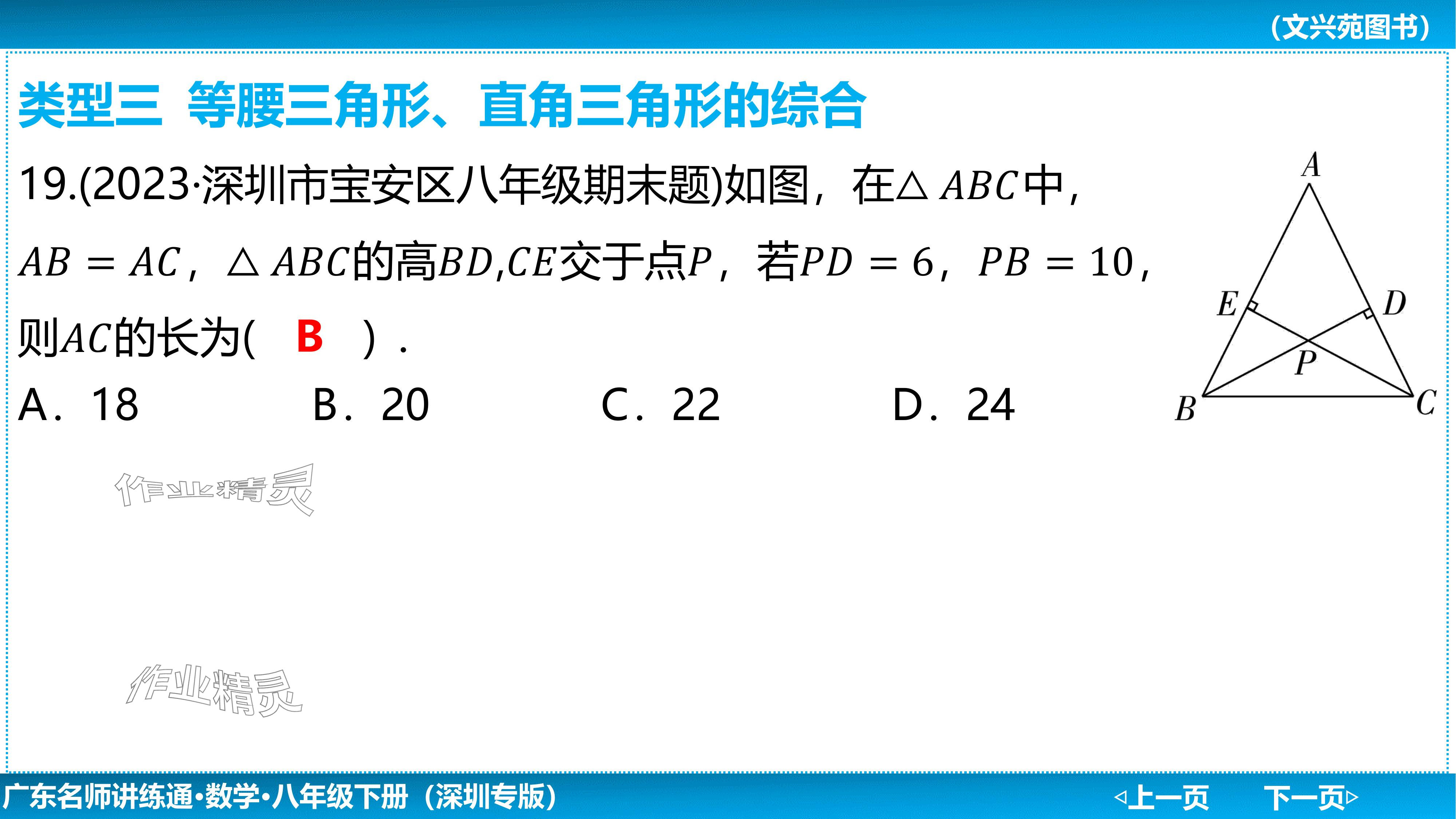 2024年廣東名師講練通八年級數學下冊北師大版深圳專版基礎版 參考答案第81頁
