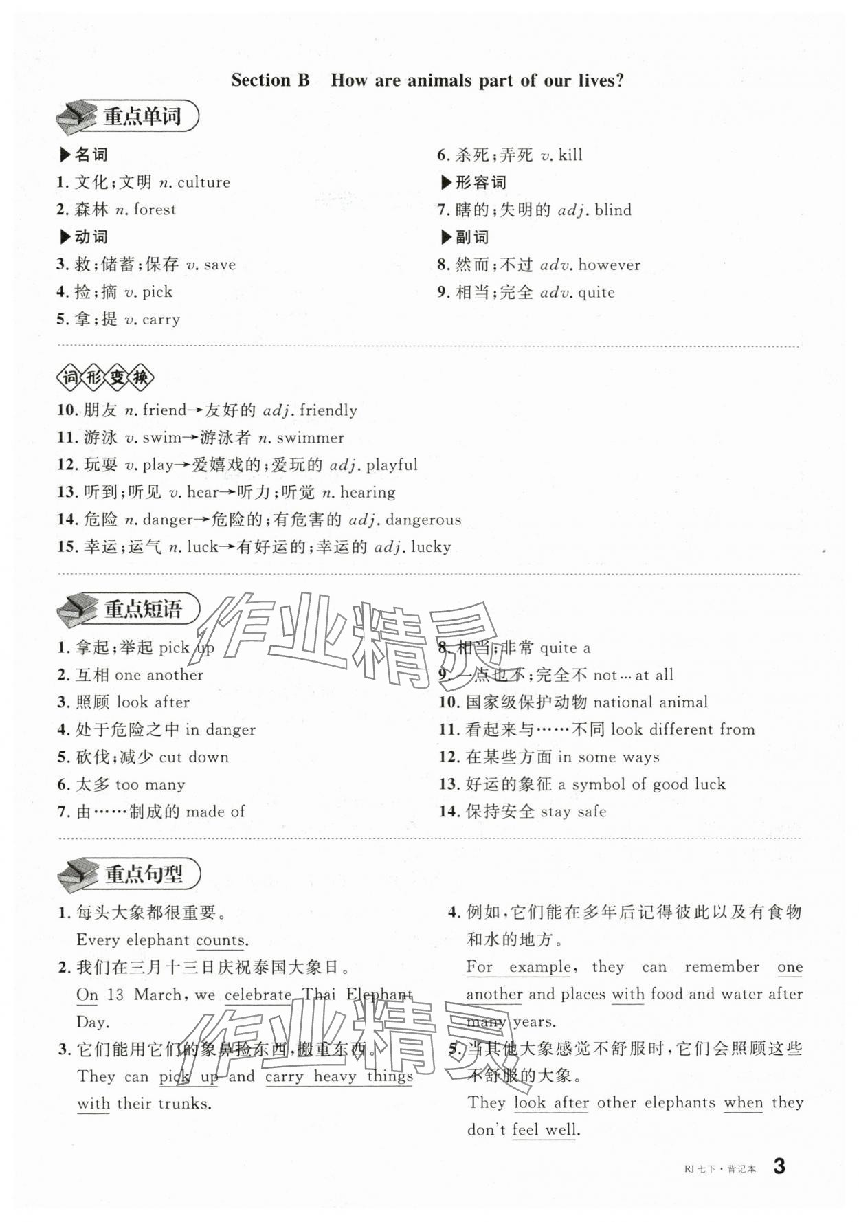 2025年名校課堂七年級英語下冊人教版棗莊專版 參考答案第15頁