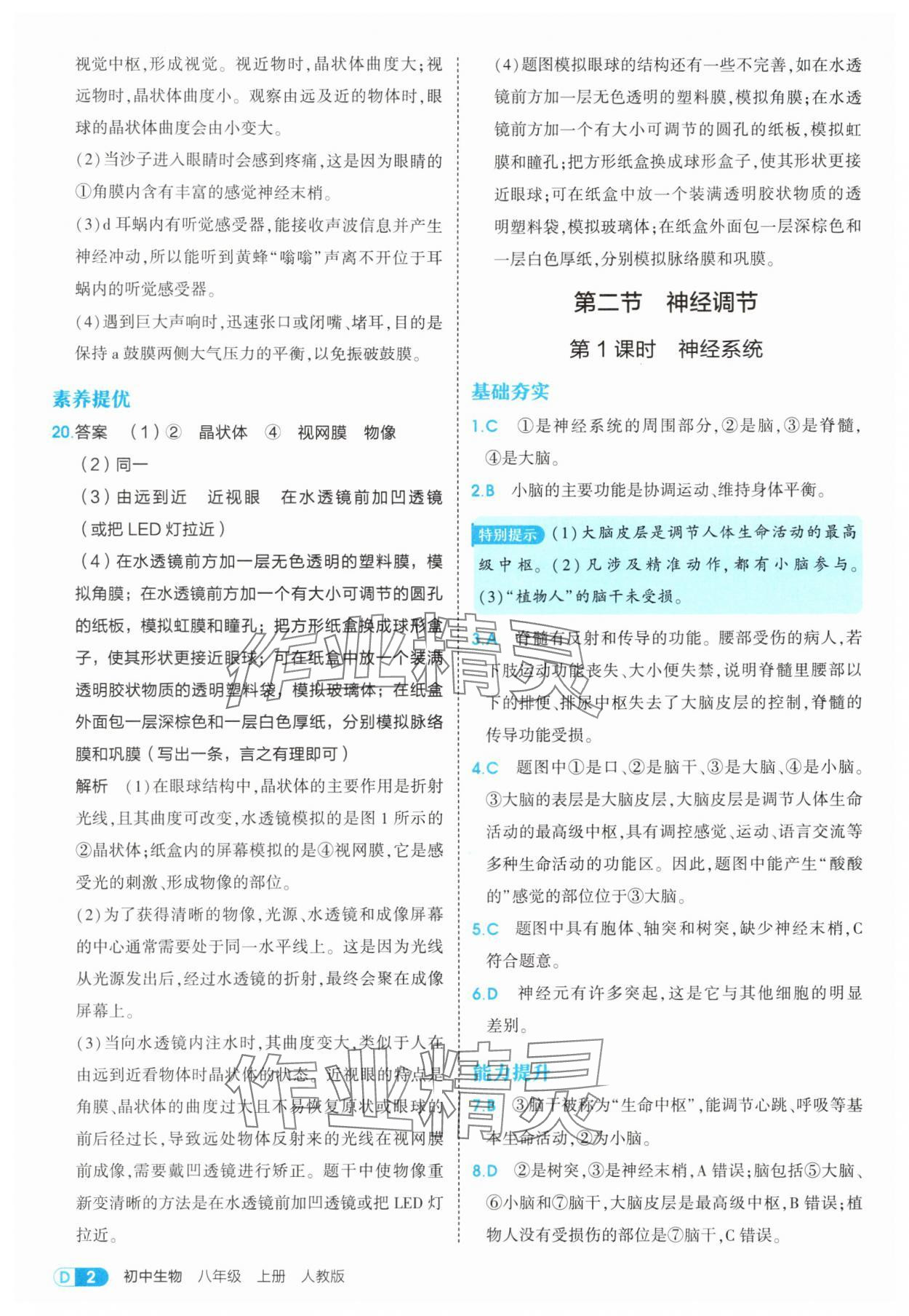 2025年5年中考3年模拟八年级生物上册人教版 第2页