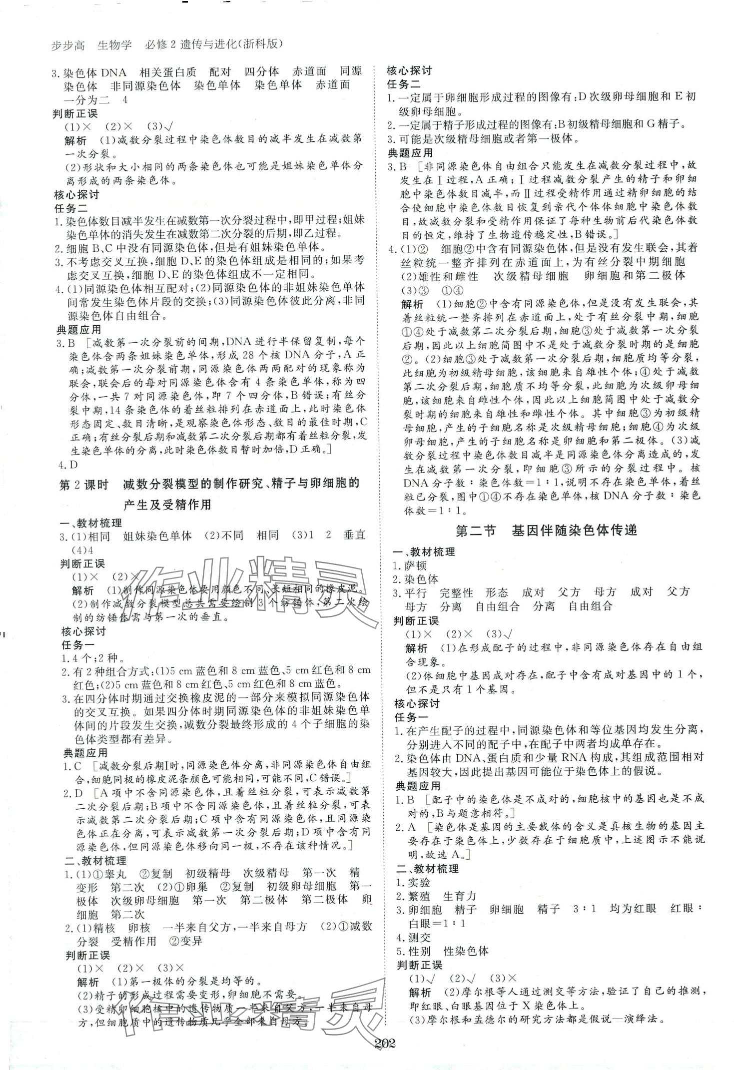 2024年步步高學(xué)習(xí)筆記高中生物必修2浙科版 第5頁