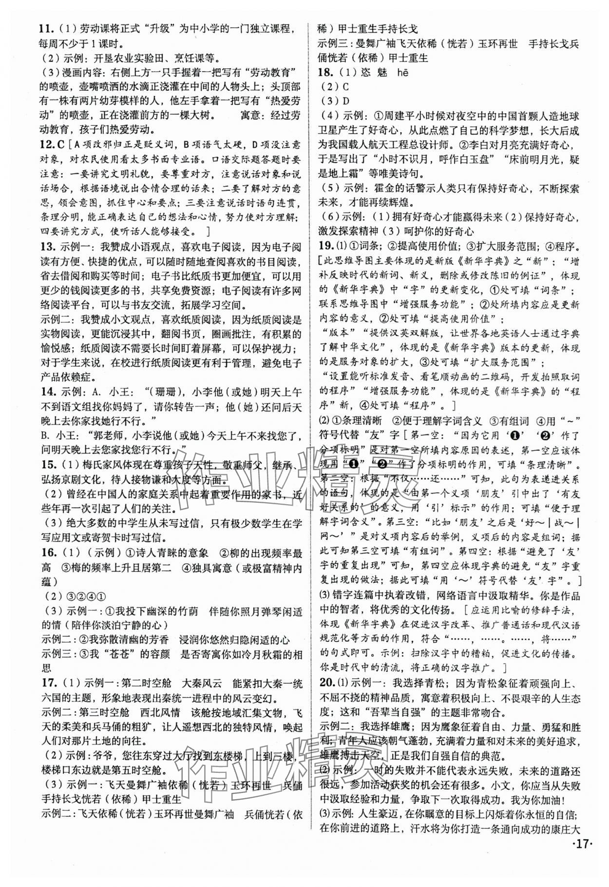 2024年语文中考全攻略中考 第17页