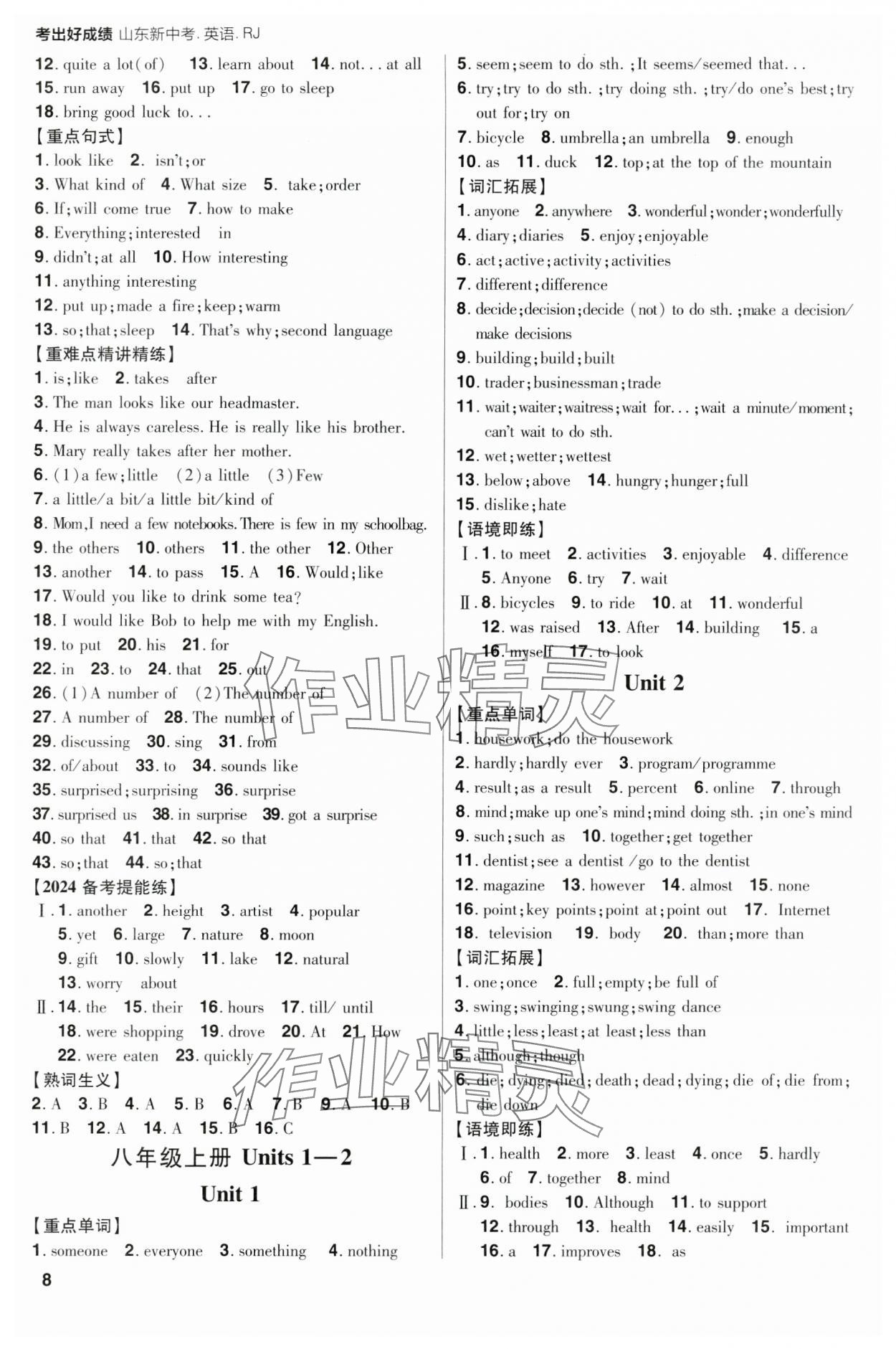 2024年考出好成绩山东新中考英语人教版 第8页