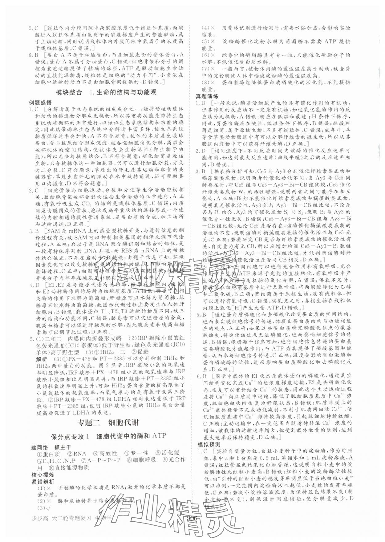 2025年步步高大二輪專題復(fù)習(xí)高中生物 參考答案第3頁