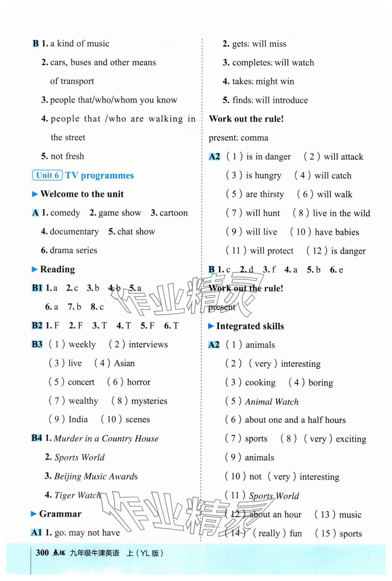2025年特高級(jí)教師點(diǎn)撥九年級(jí)英語上冊(cè)譯林版 參考答案第7頁