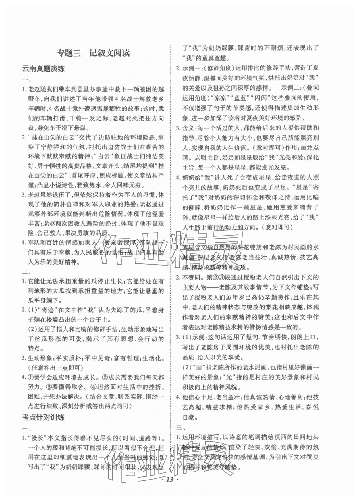 2025年本土攻略精準(zhǔn)復(fù)習(xí)方案語(yǔ)文云南專版 參考答案第13頁(yè)