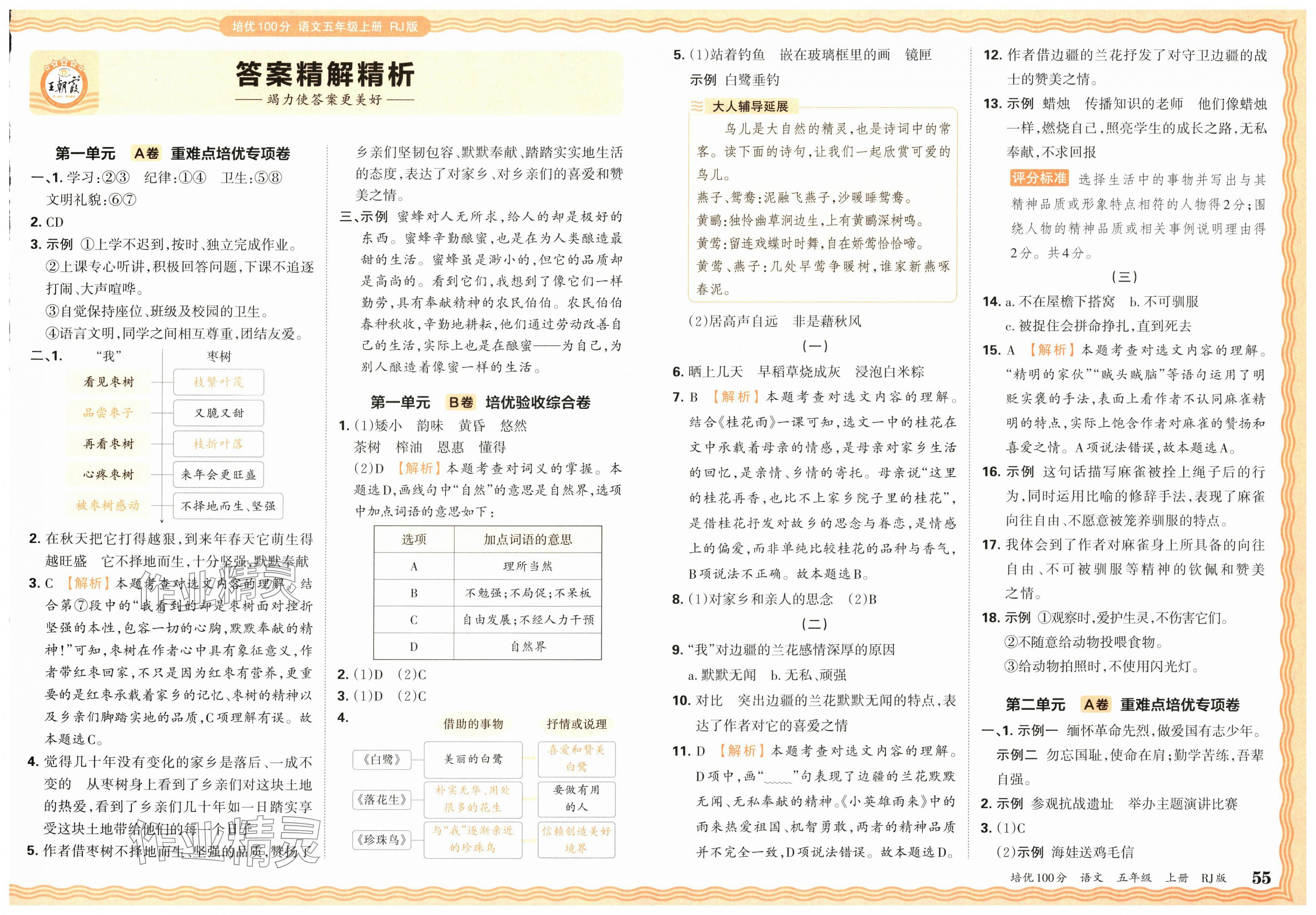2025年王朝霞培優(yōu)100分五年級語文上冊人教版 第1頁