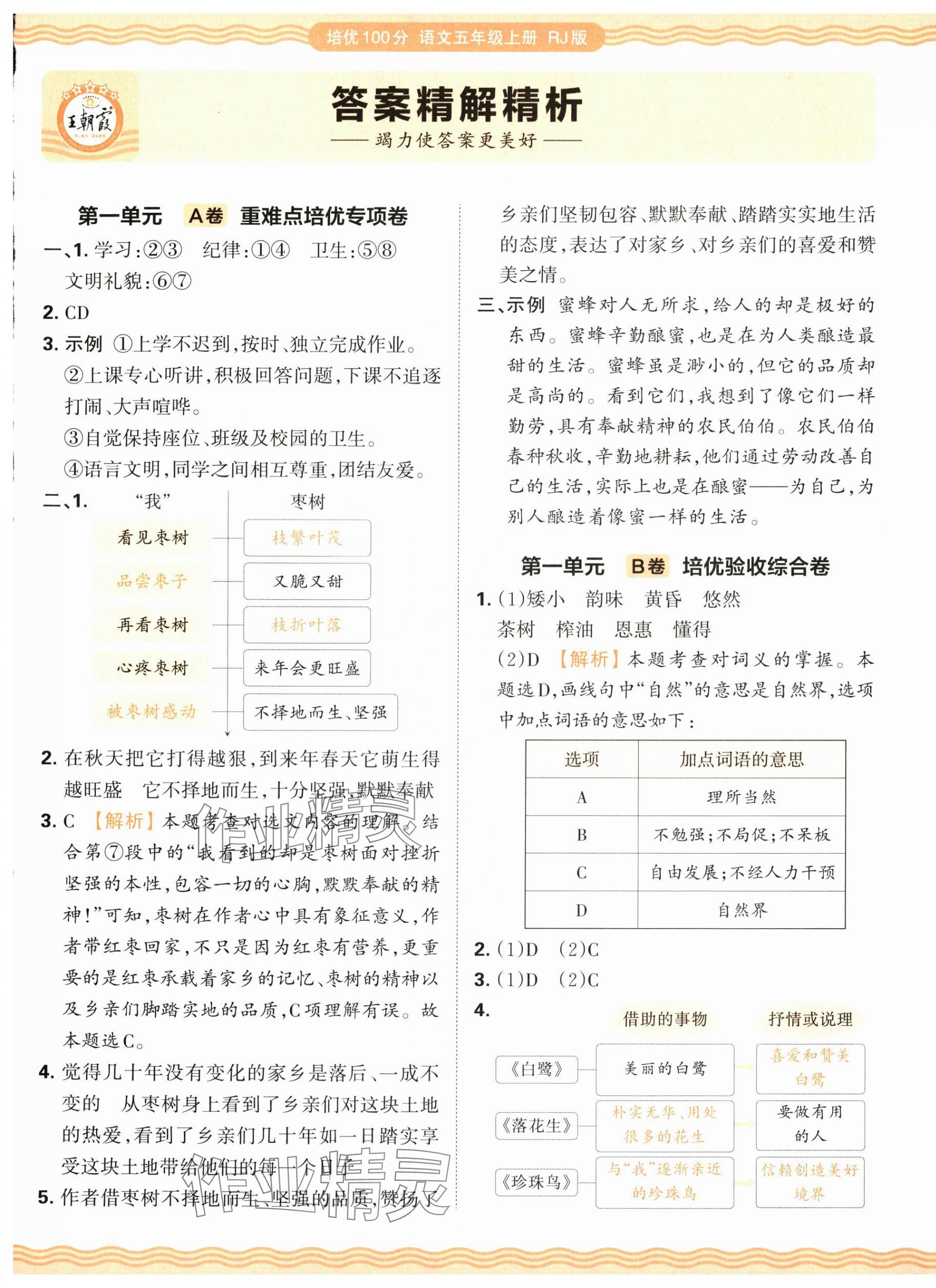 2025年王朝霞培优100分五年级语文上册人教版 参考答案第1页