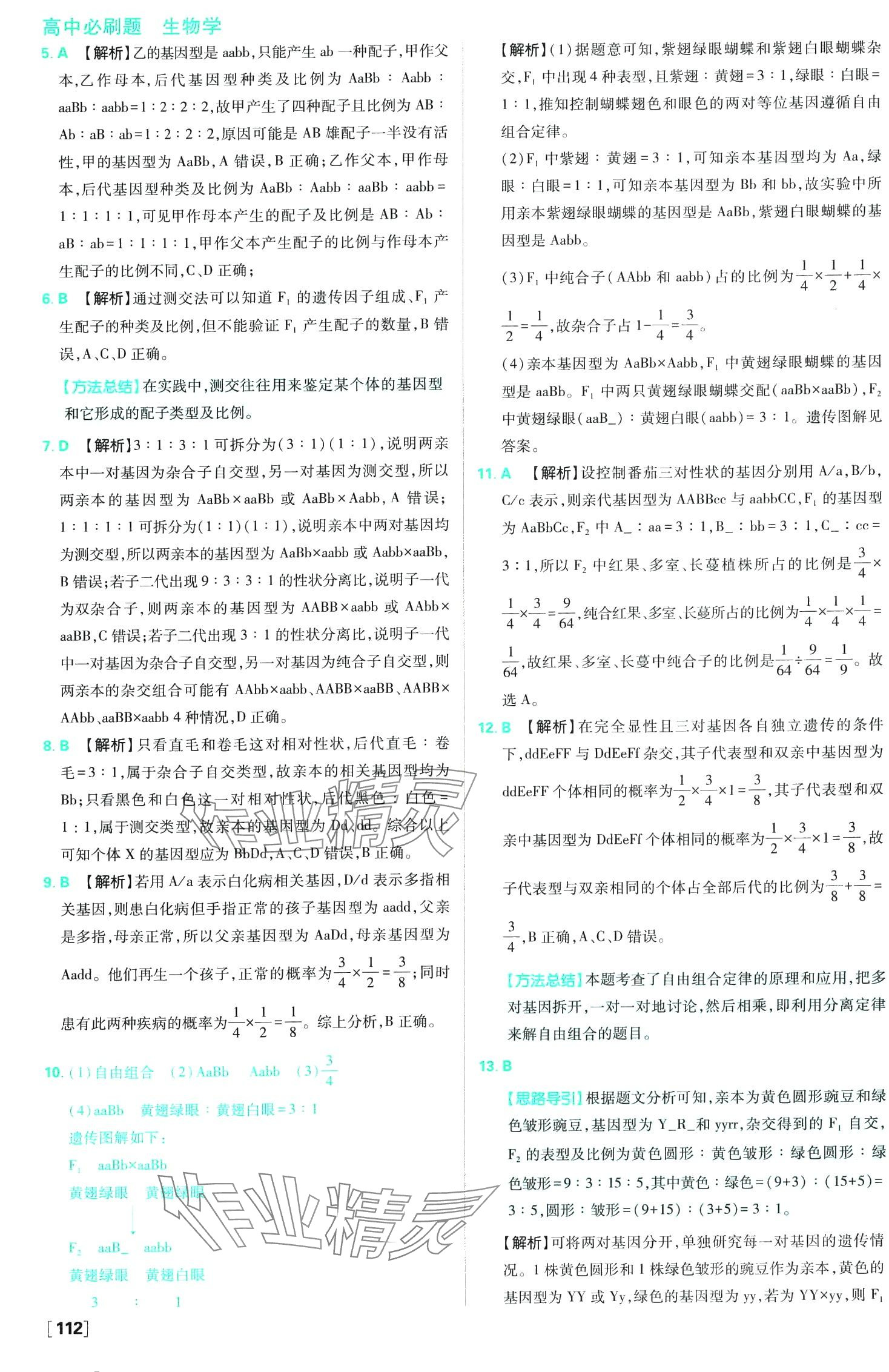 2024年高中必刷題高中生物必修2人教版 第7頁(yè)