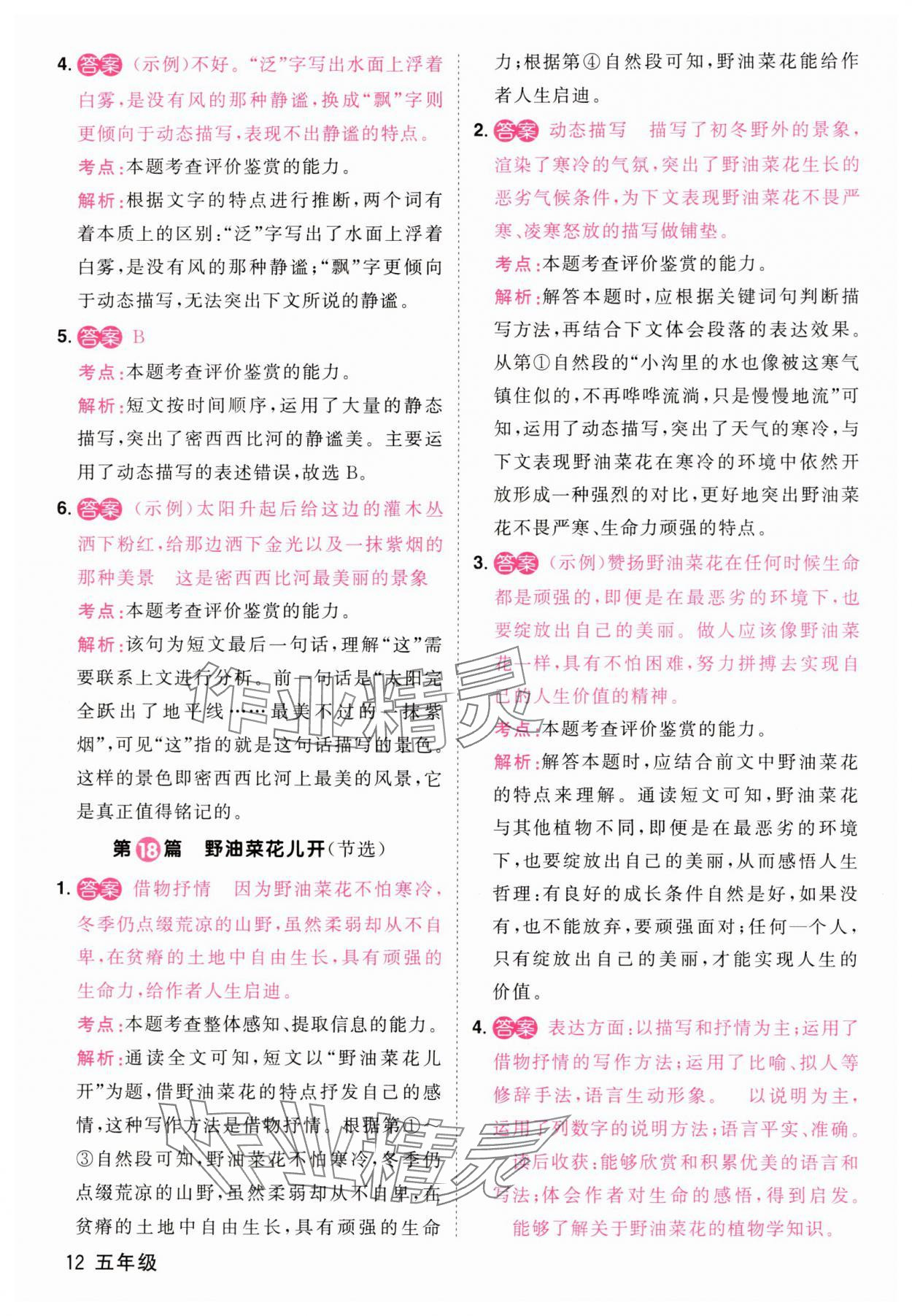 2025年百校名師閱讀真題80篇五年級彩虹版 第12頁