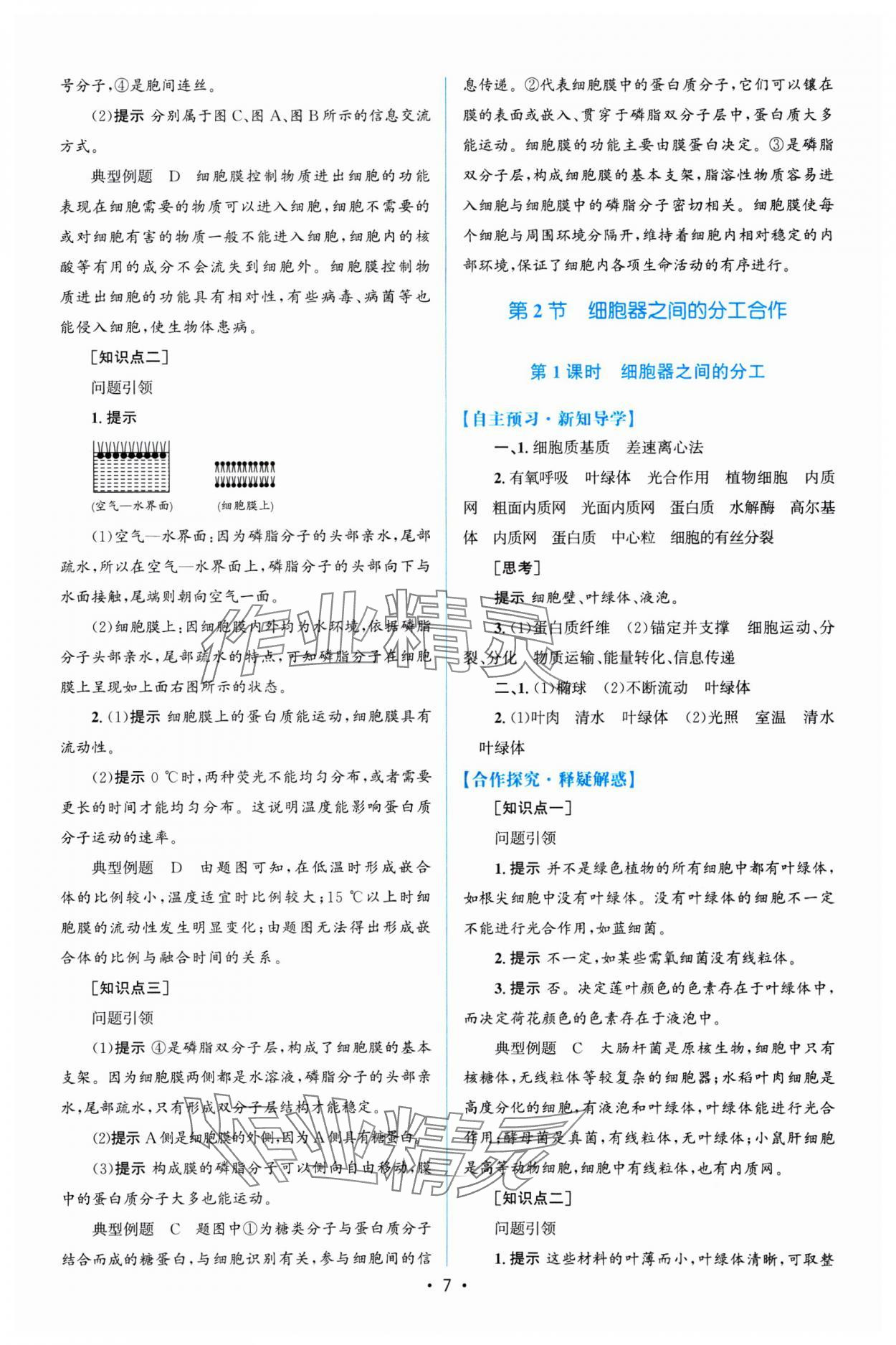 2024年高中同步測(cè)控優(yōu)化設(shè)計(jì)高一生物必修1人教版福建專(zhuān)版 參考答案第6頁(yè)