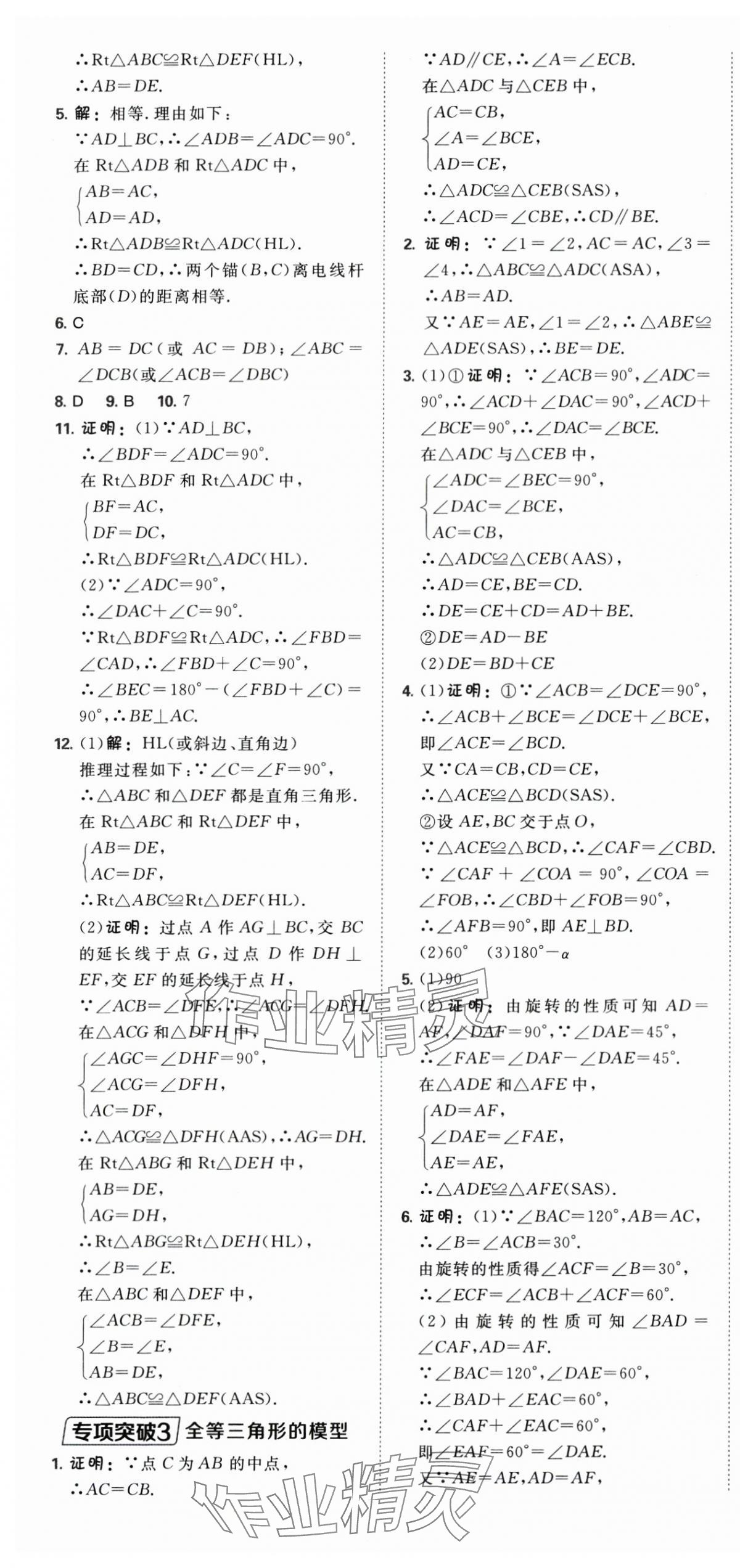 2025年點撥訓(xùn)練八年級數(shù)學(xué)上冊人教版 第7頁