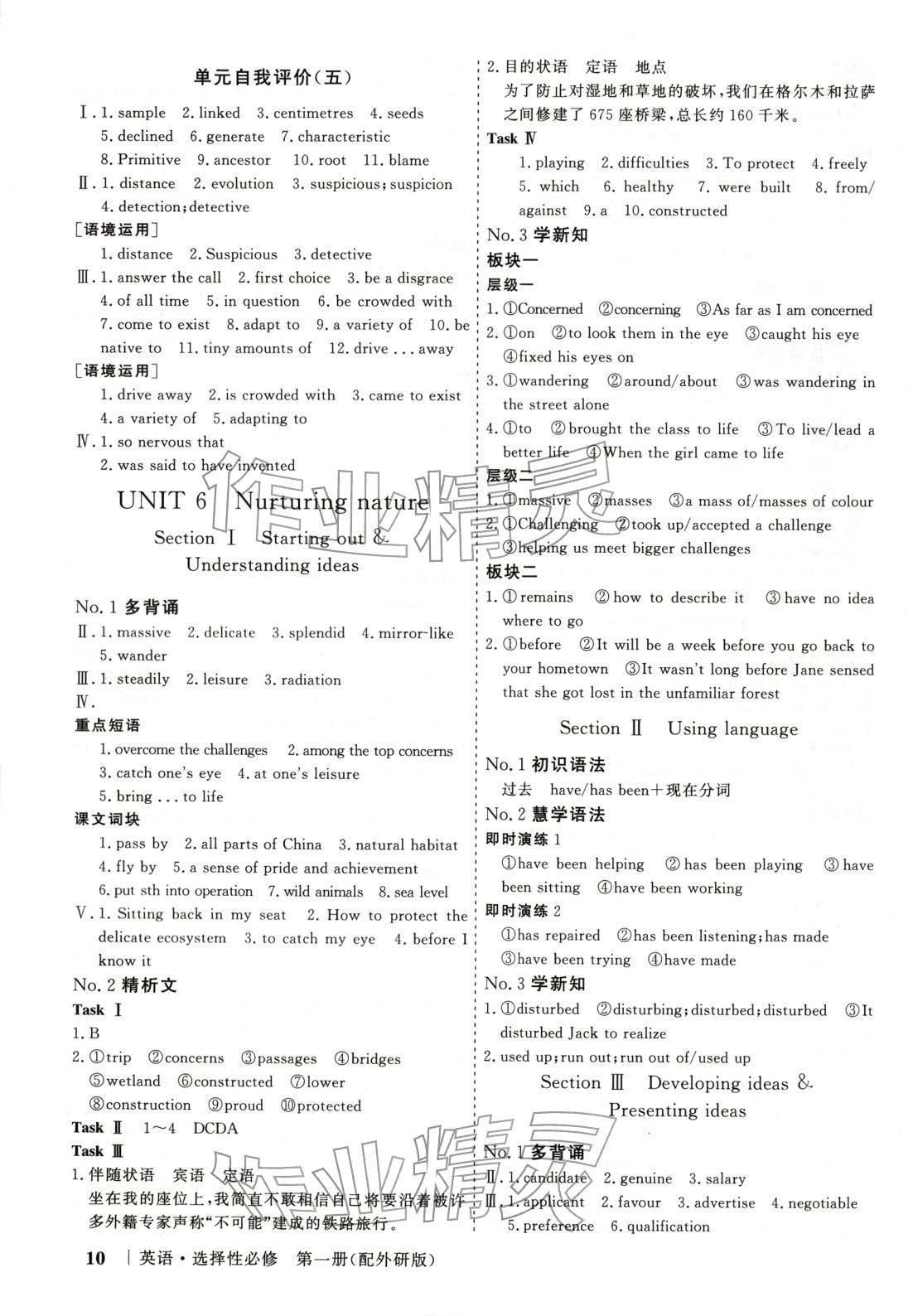 2025年高考领航高中同步核心辅导与测评高中英语选择性必修第一册外研版 第10页