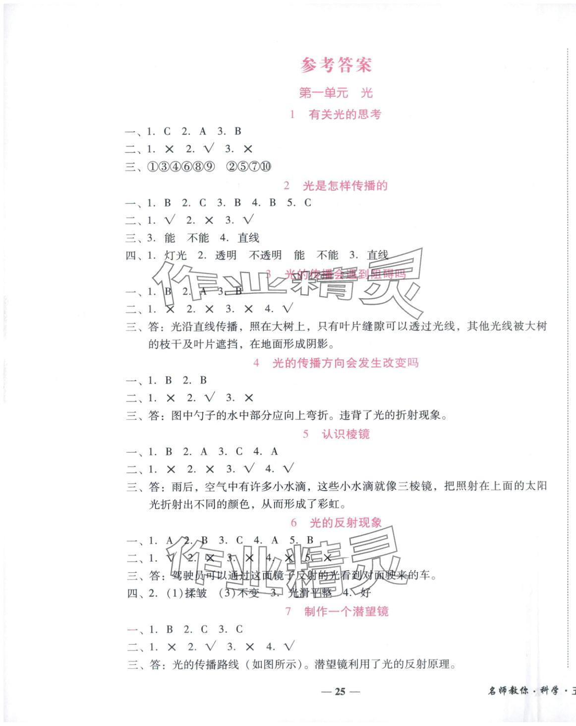 2025年小桔豆名师教你五年级科学上册教科版 参考答案第1页