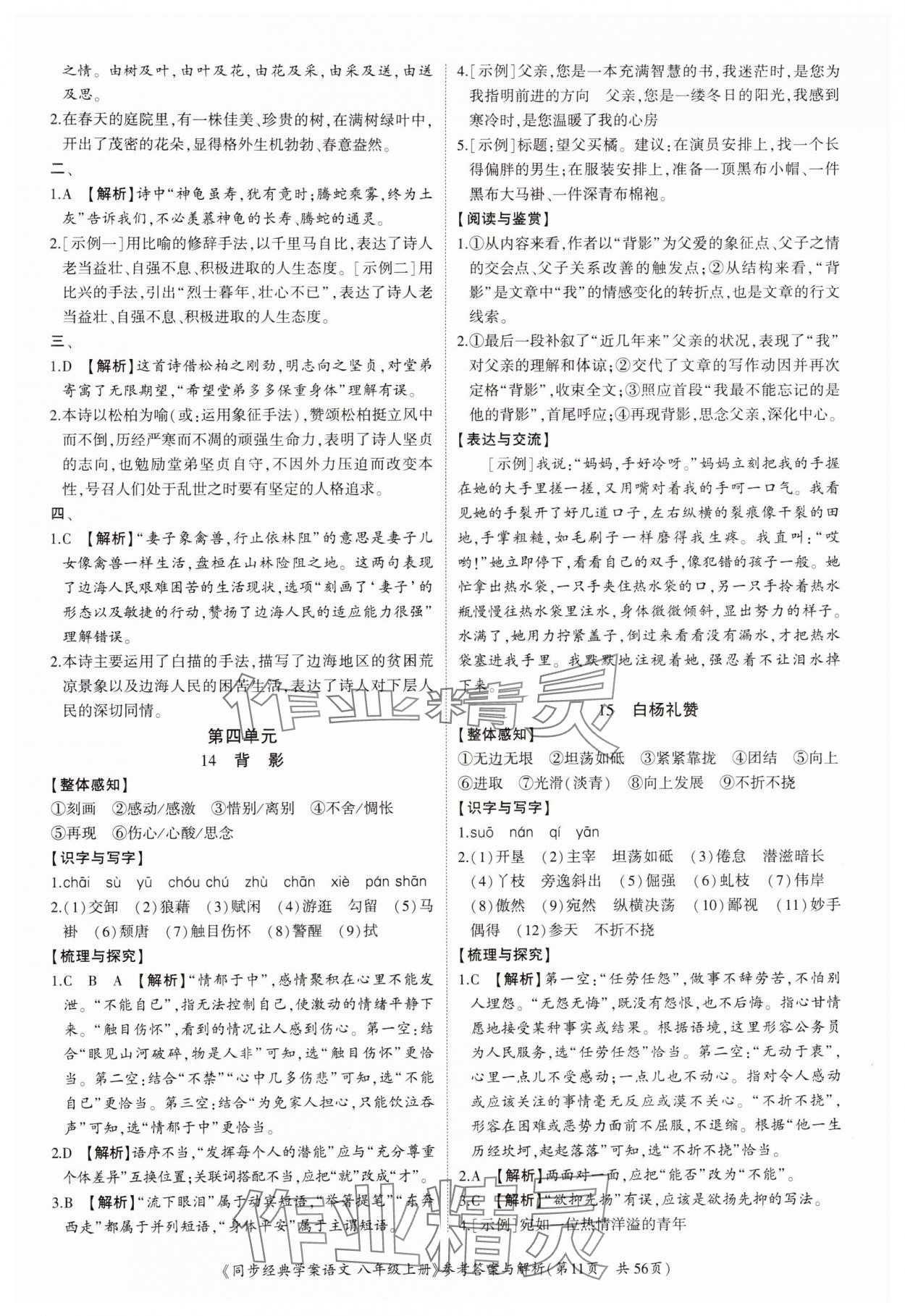 2024年同步經(jīng)典學(xué)案八年級(jí)語(yǔ)文上冊(cè)人教版深圳專版 第11頁(yè)