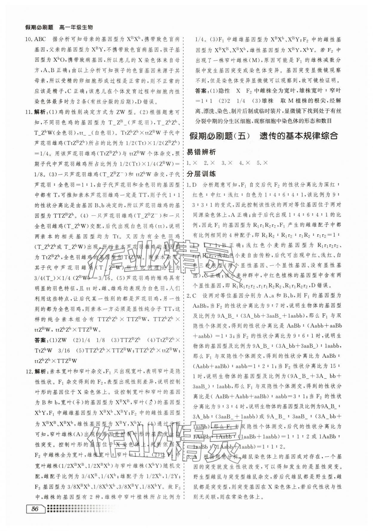 2025年暑假刷題計劃高一生物學人教版 第6頁