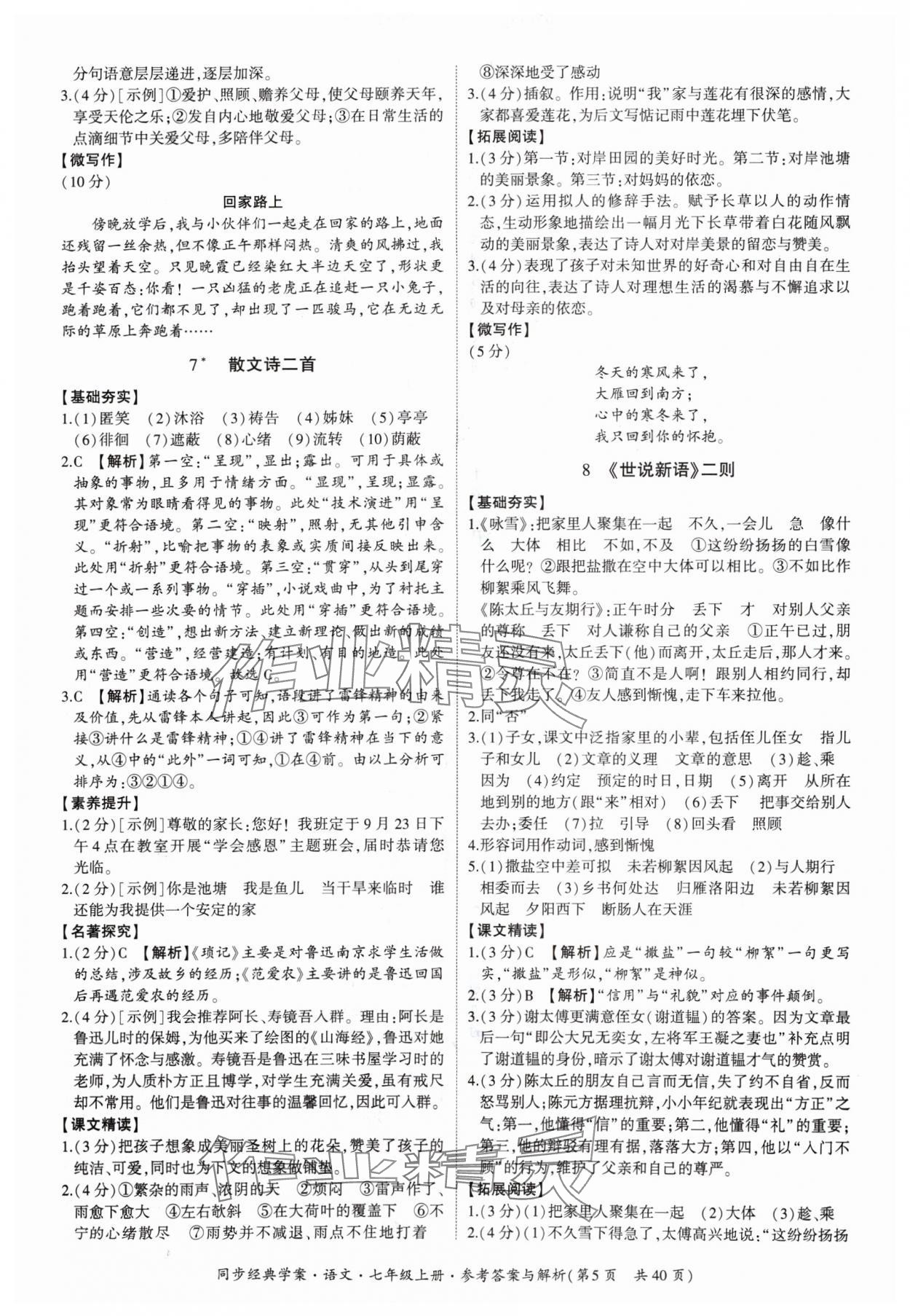 2024年同步經(jīng)典學(xué)案七年級語文上冊人教版 第5頁