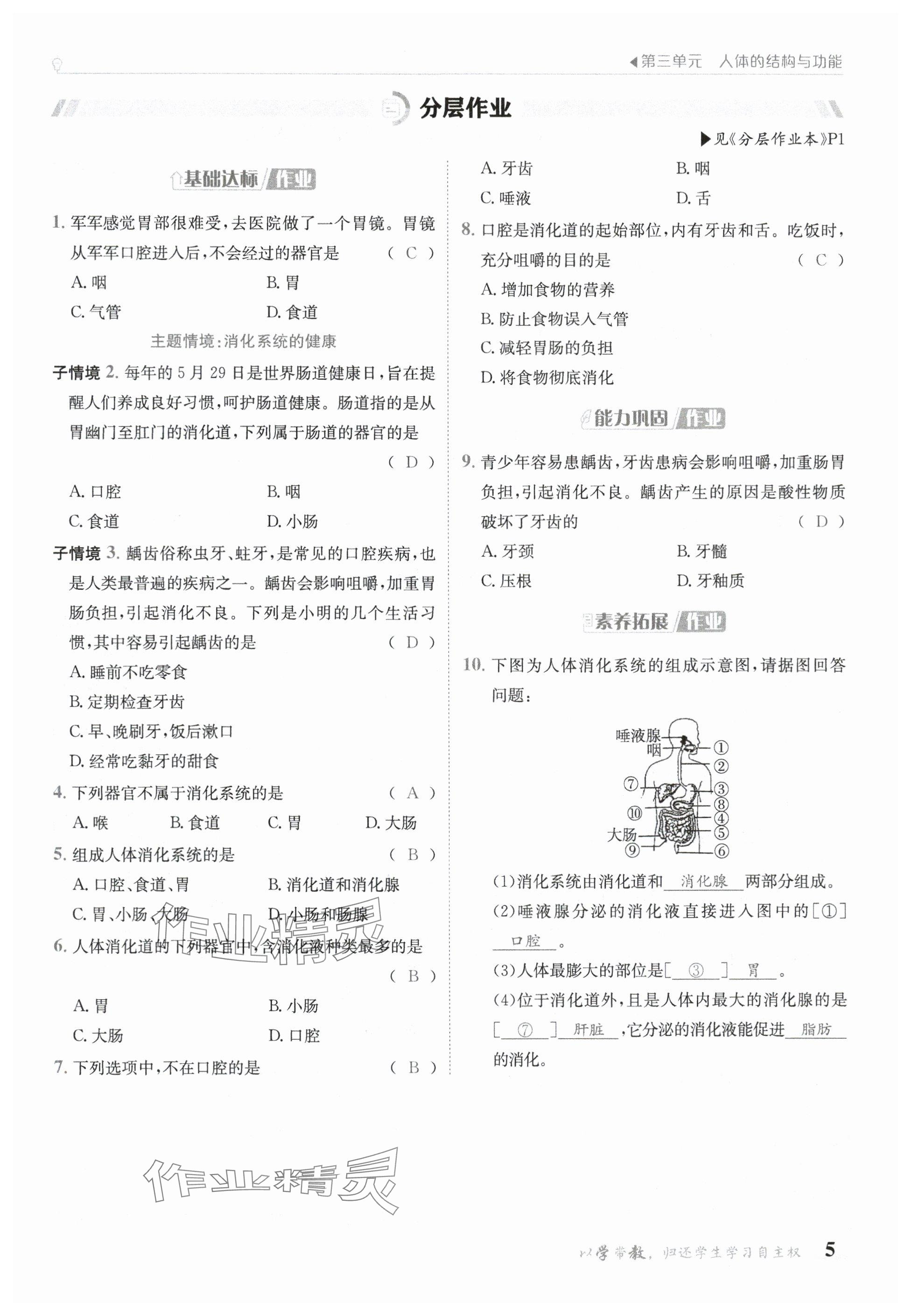 2025年金太陽導學案七年級生物下冊冀少版 參考答案第5頁