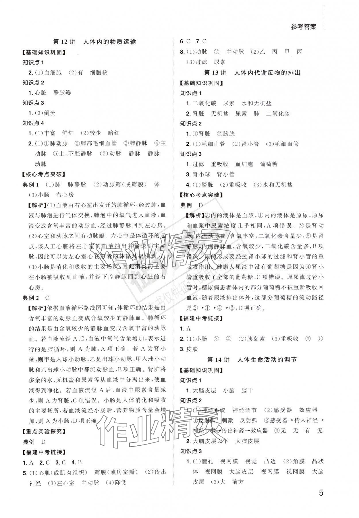 2024年陽光同學(xué)分層新中考生物福建專版 參考答案第4頁