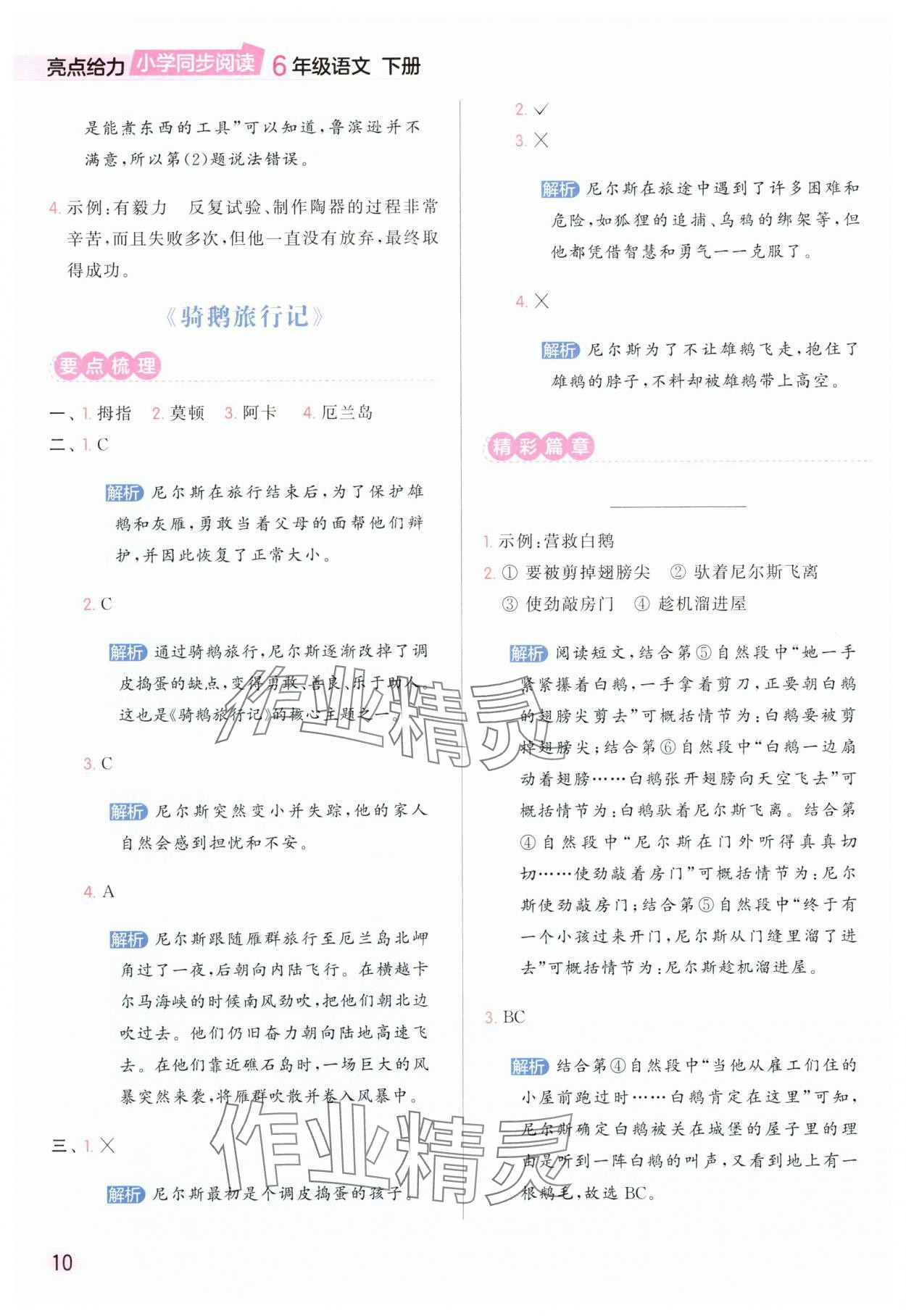 2025年亮點(diǎn)給力同步閱讀六年級(jí)語(yǔ)文下冊(cè)人教版 參考答案第10頁(yè)