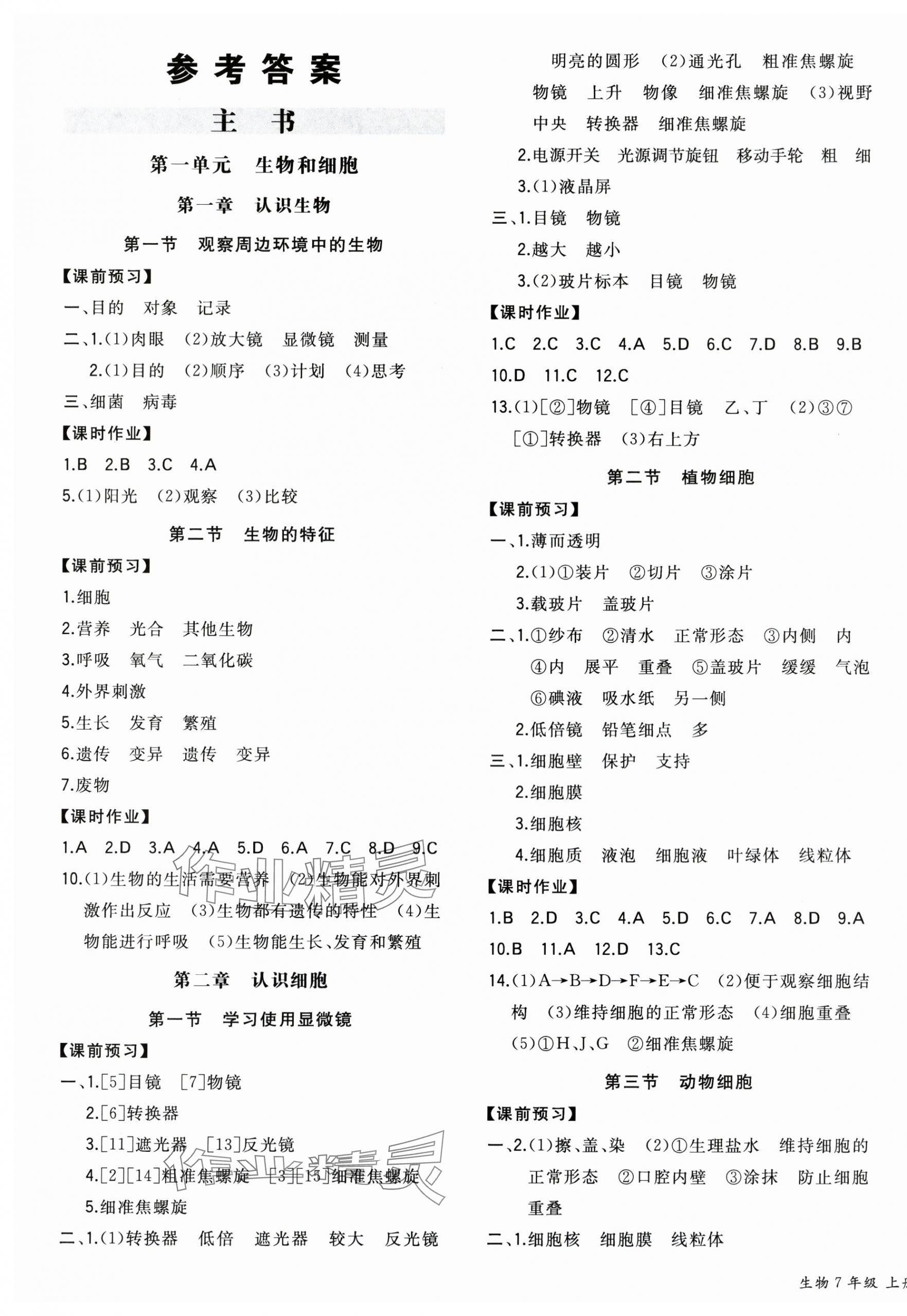 2025年一本同步训练七年级生物上册人教版 参考答案第1页