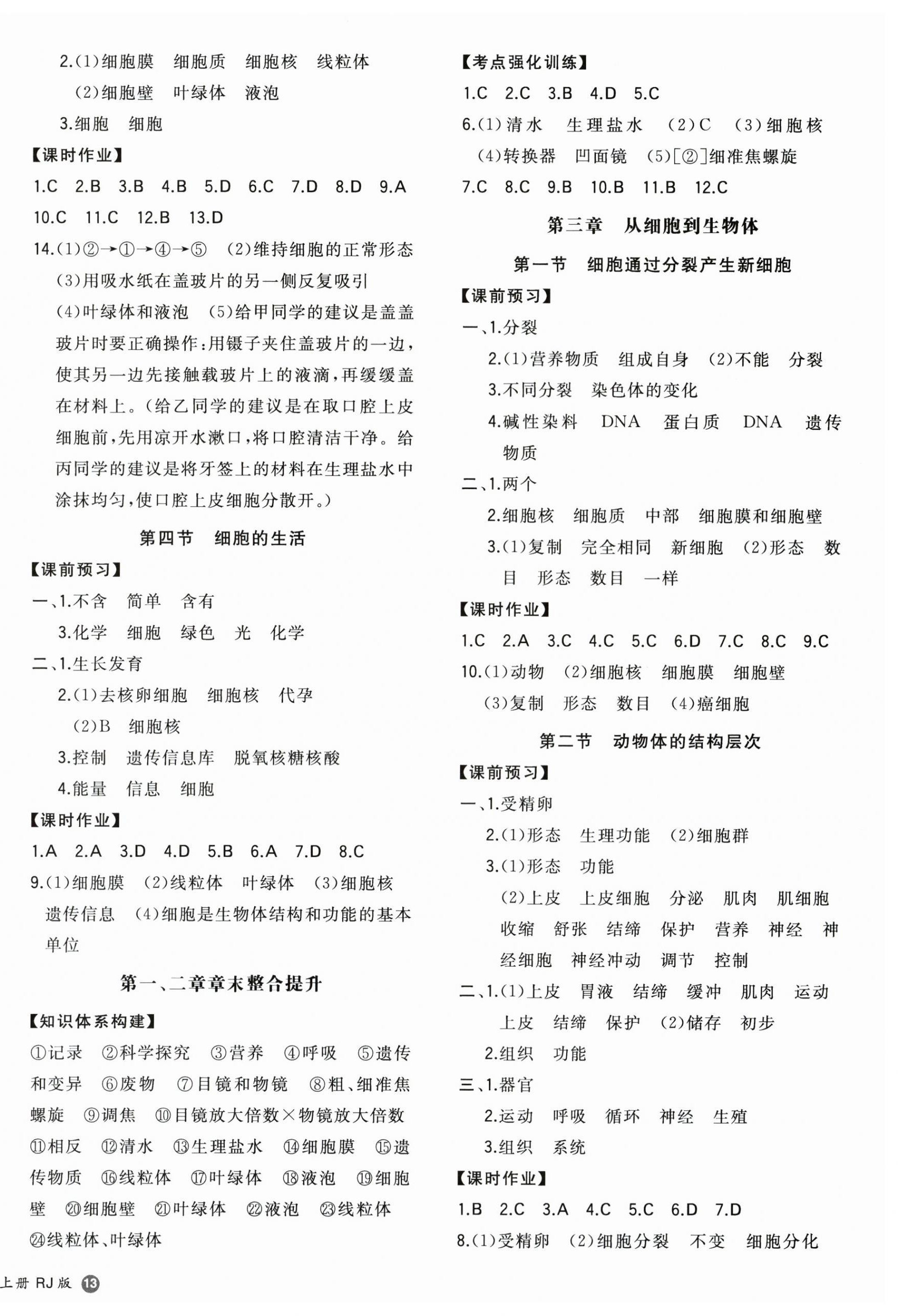 2025年一本同步训练七年级生物上册人教版 参考答案第2页