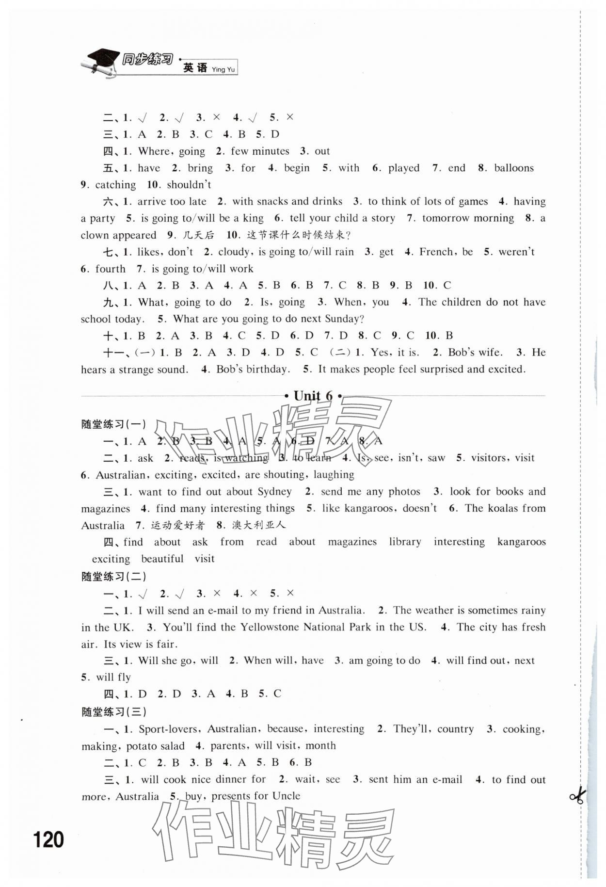 2025年同步練習江蘇六年級英語下冊譯林版 參考答案第6頁