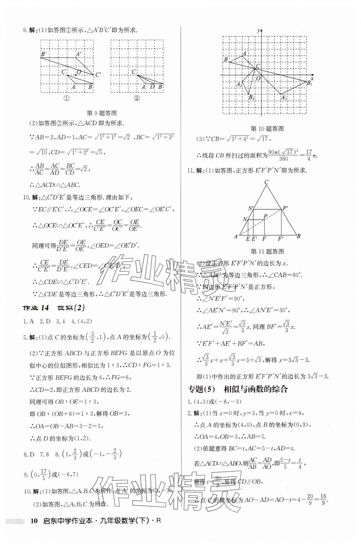 2025年启东中学作业本九年级数学下册人教版 第10页