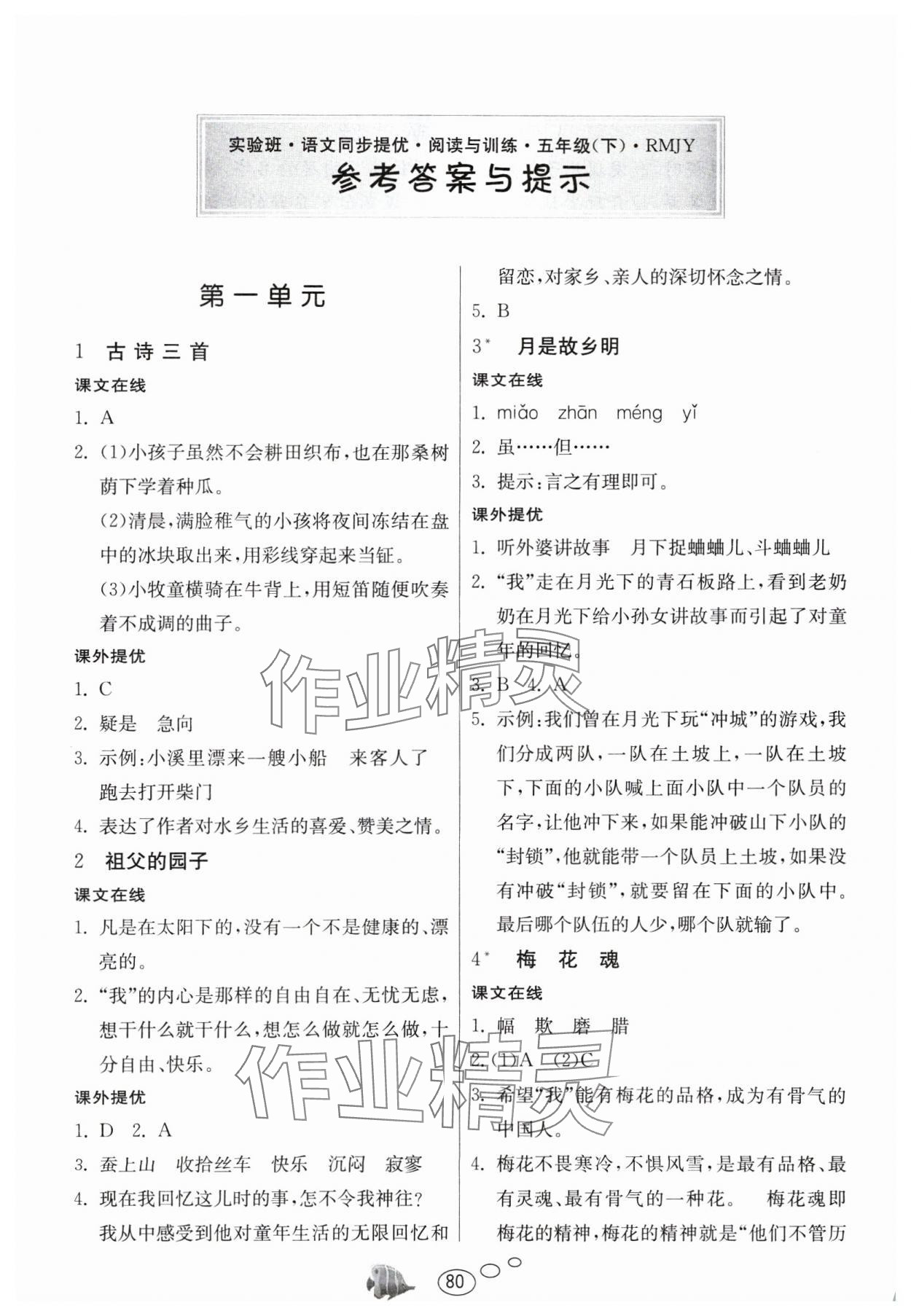 2025年實驗班語文同步提優(yōu)閱讀與訓(xùn)練五年級下冊人教版 參考答案第1頁