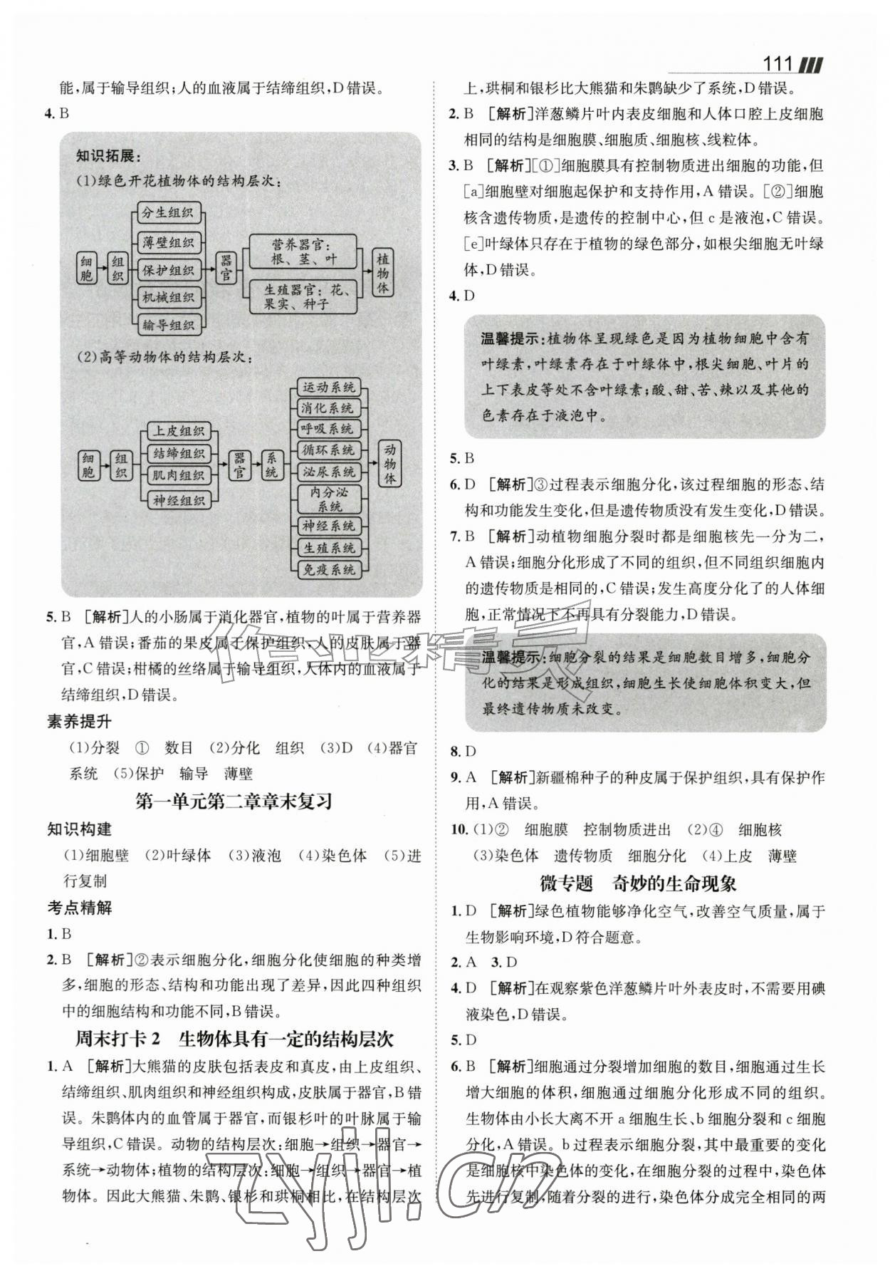2026年同行学案七年级生物上册济南版&nbsp;参考答案第6页