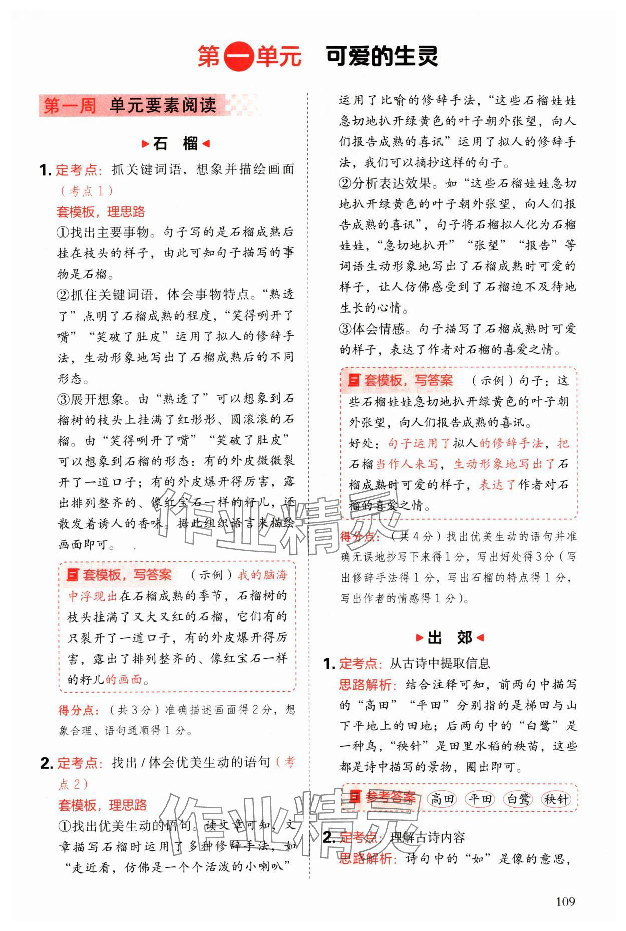 2025年閱讀理解與答題模板三年級語文下冊人教版 參考答案第1頁