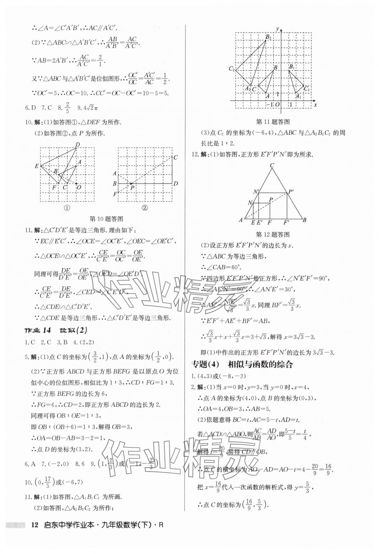 2024年启东中学作业本九年级数学下册人教版 第12页